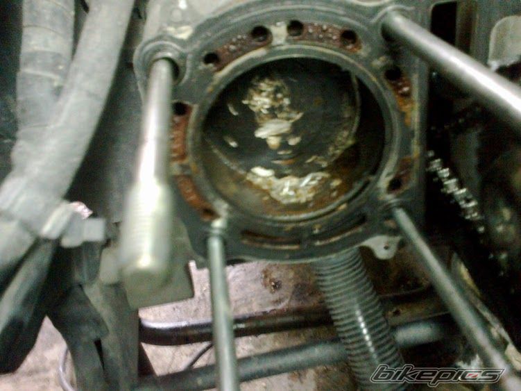 Photo 2584649