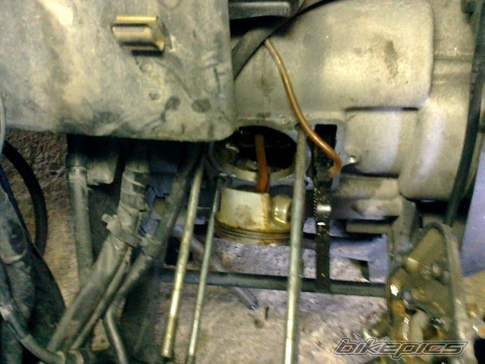Photo 2584650