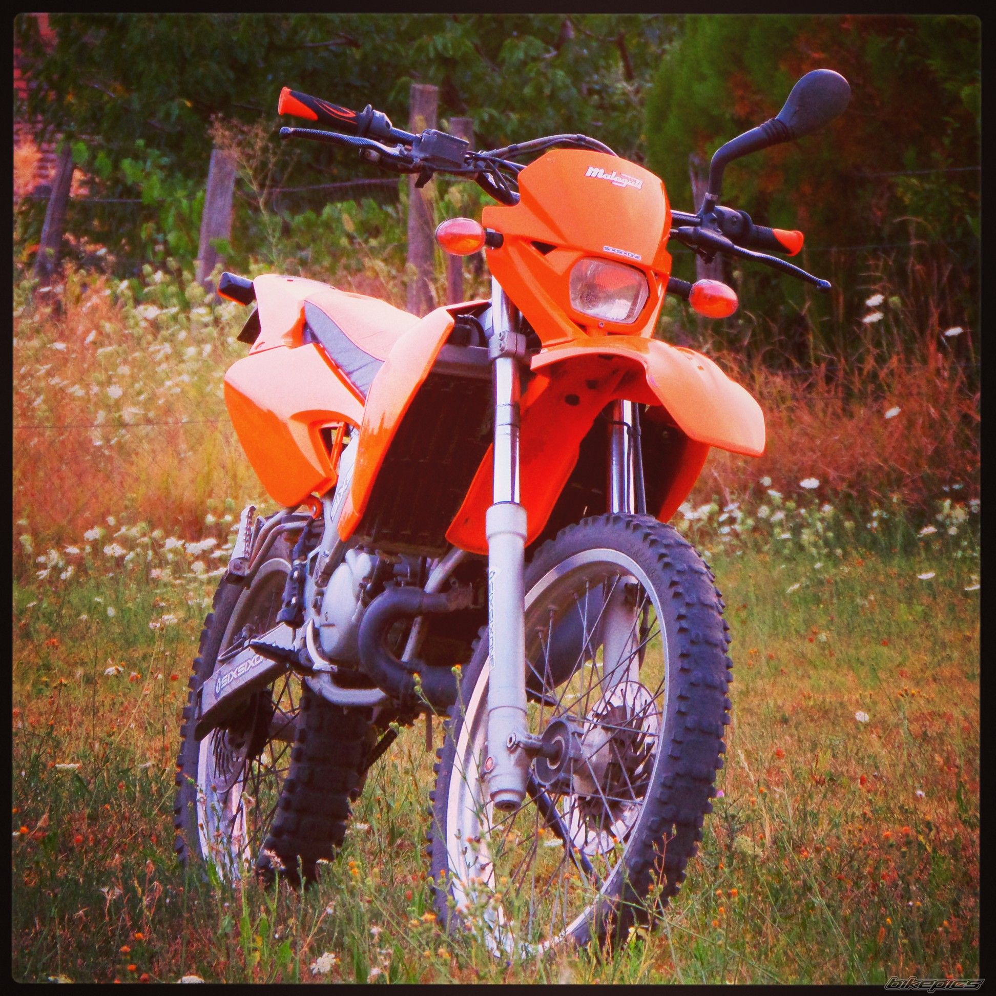 Photo 2585856
