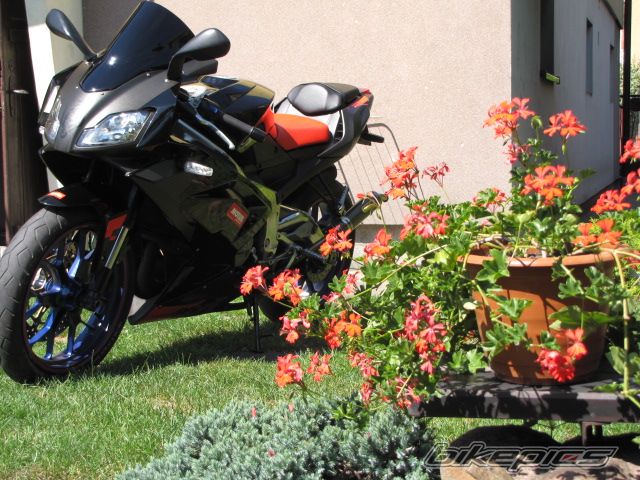 Bike Photo 2588078