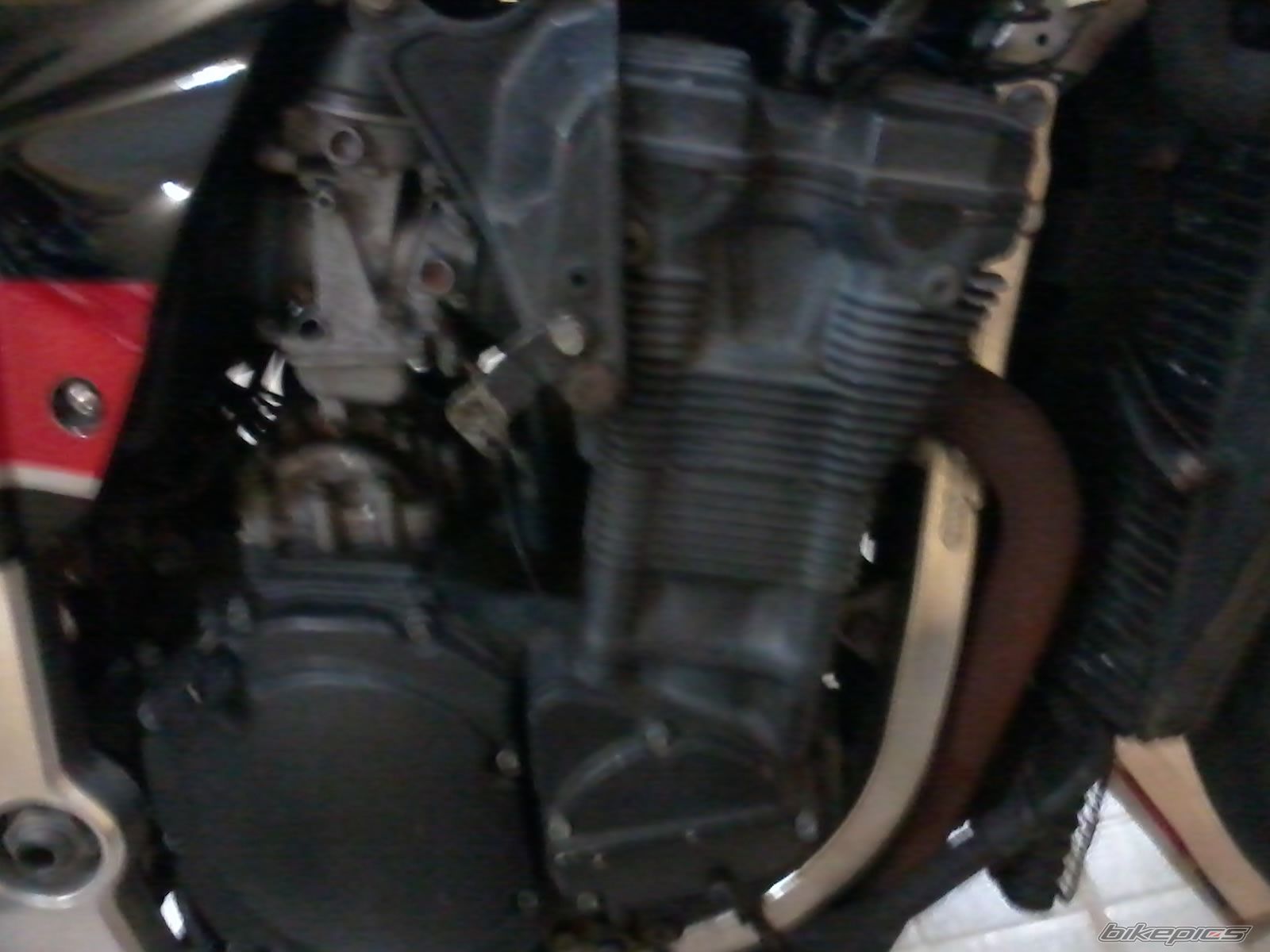 Photo 2589432
