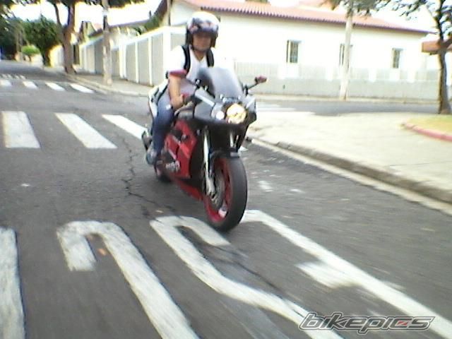 Photo 2589439