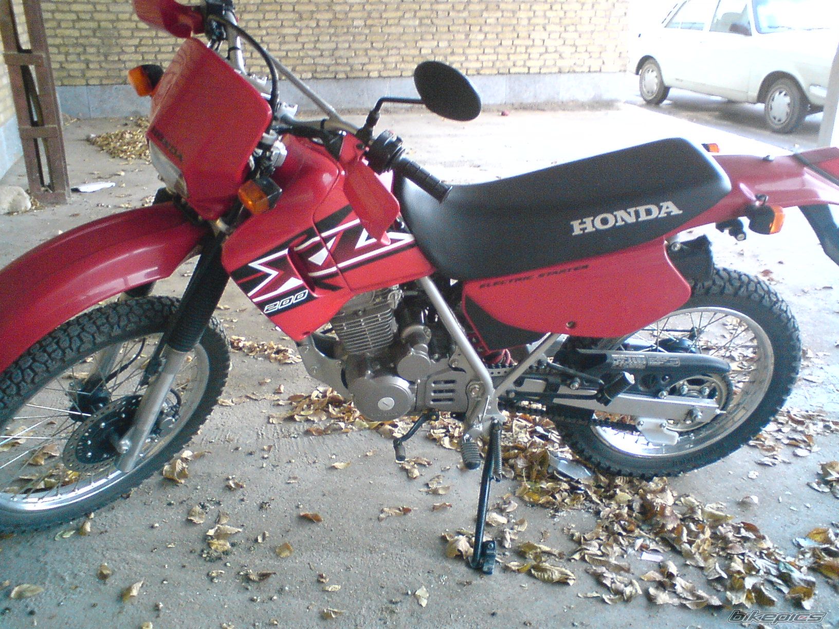 Photo 2589854