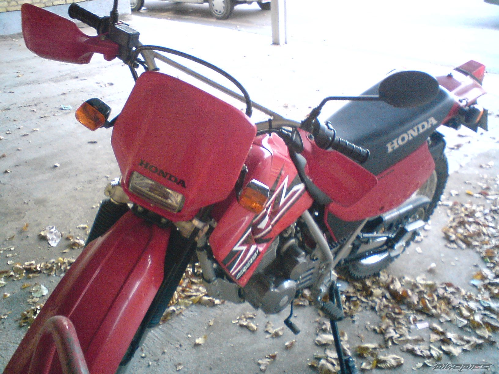 Photo 2589857