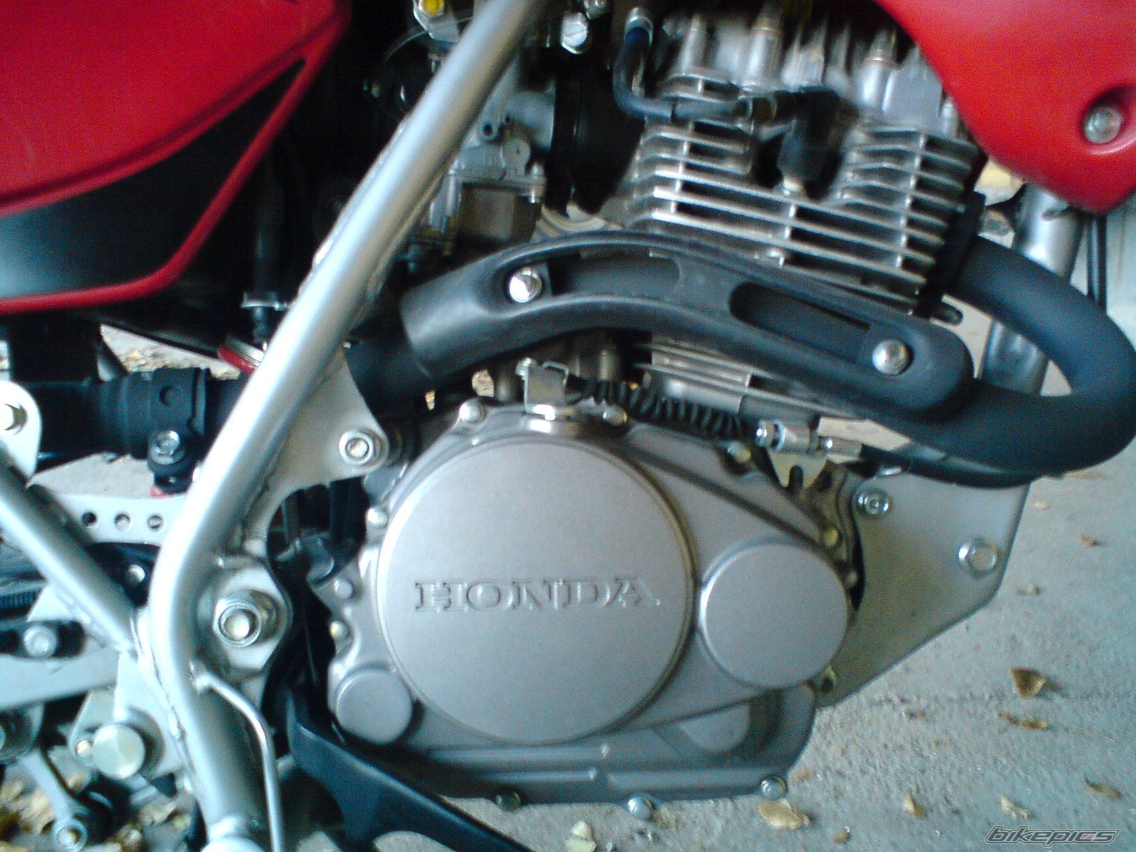 Photo 2589860