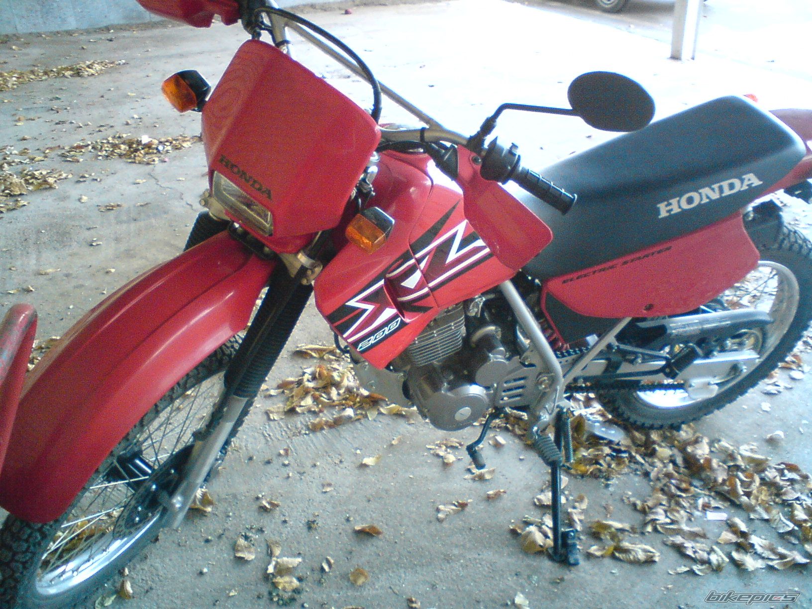 Photo 2589862