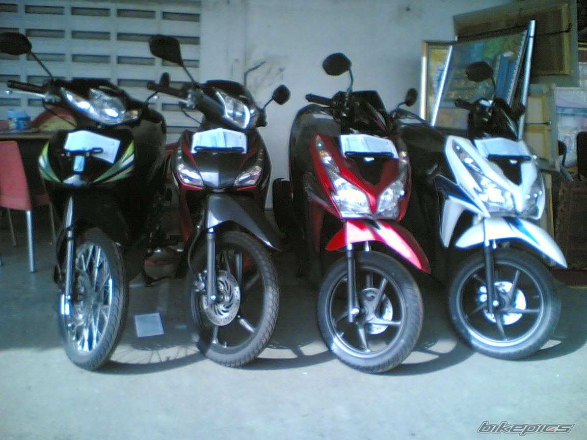 Photo 2590942