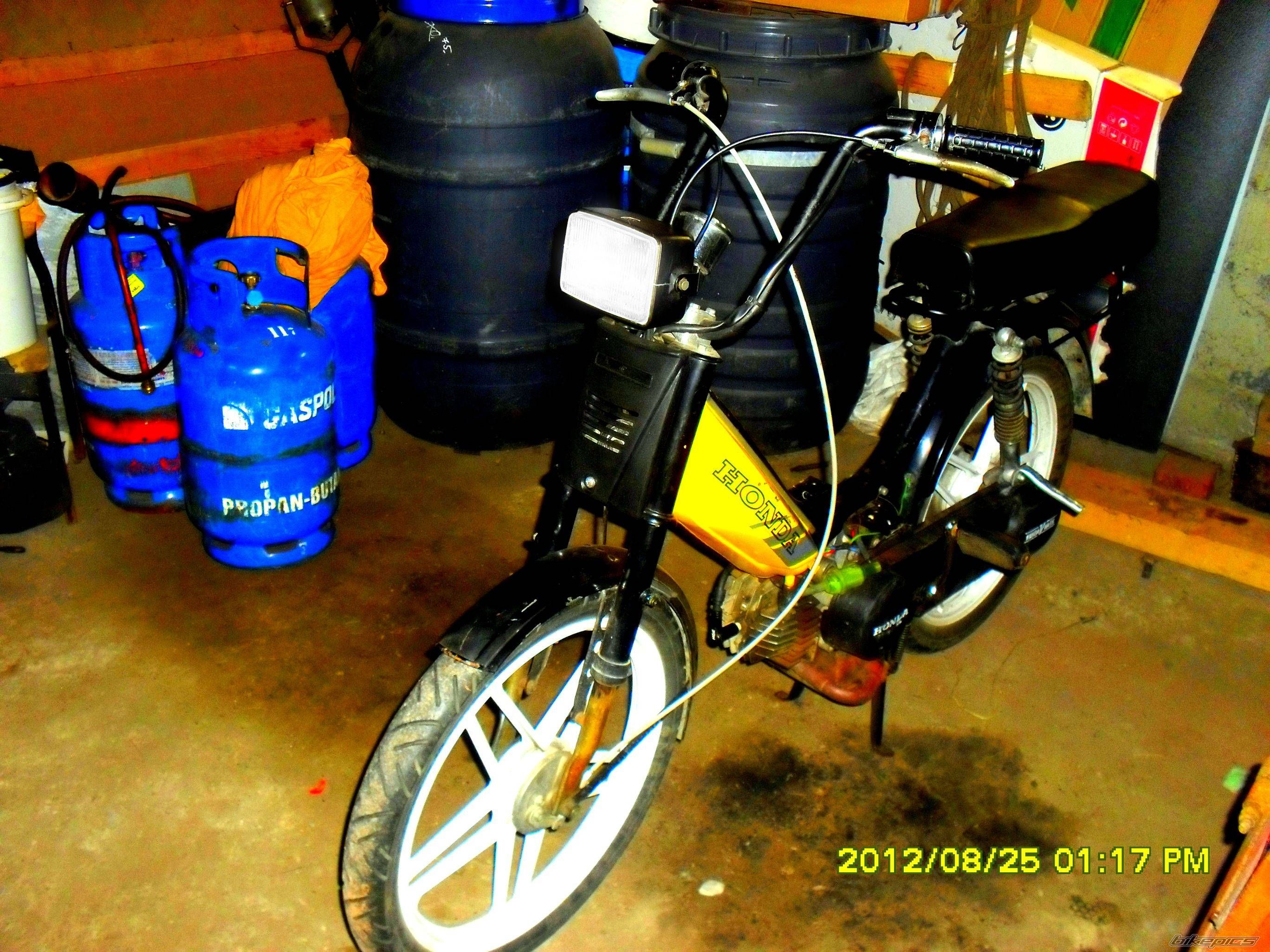 Photo 2592690