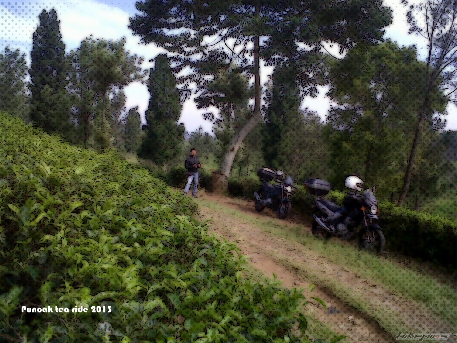 Photo 2593528