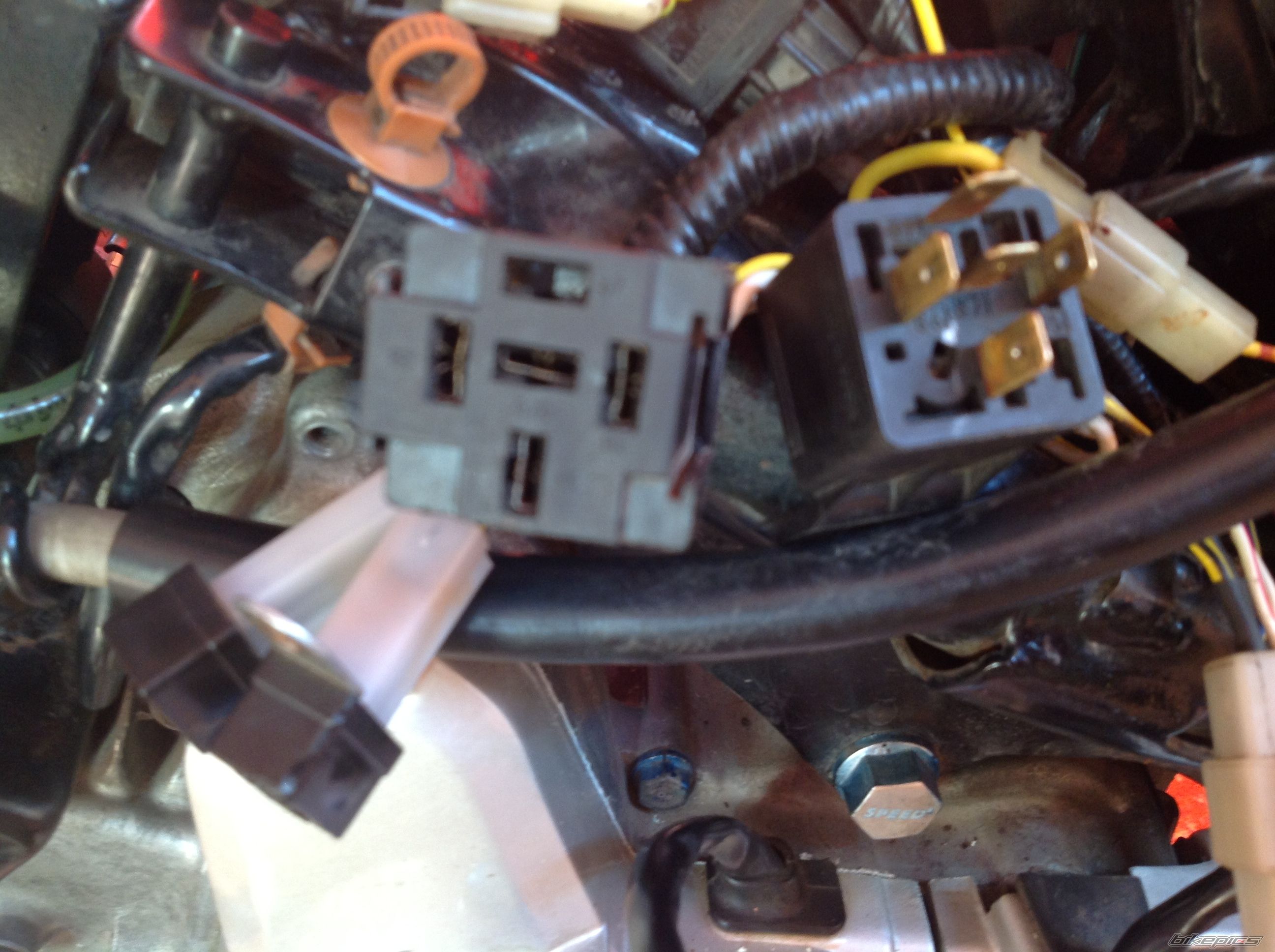Photo 2594621