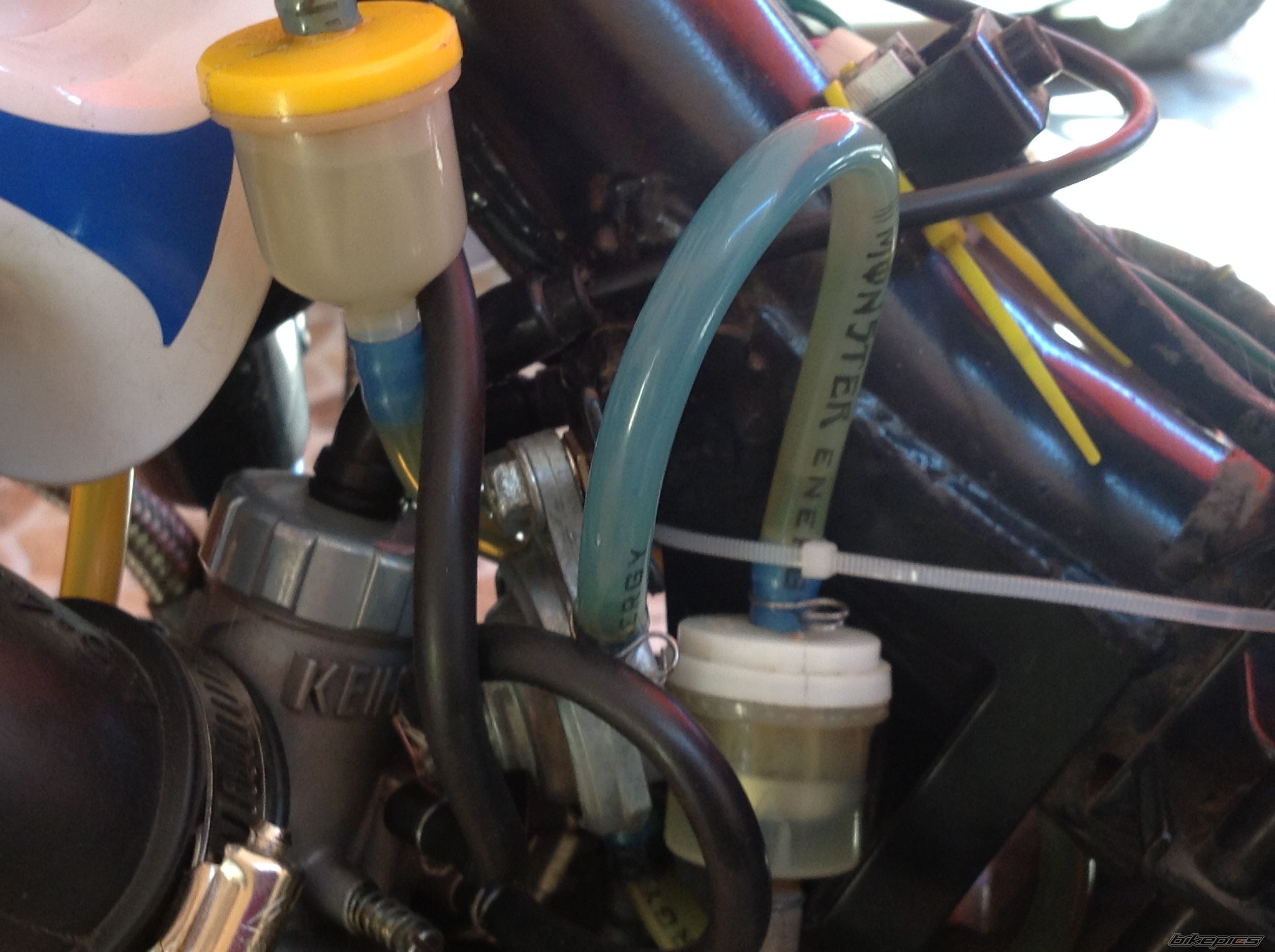 Photo 2594622