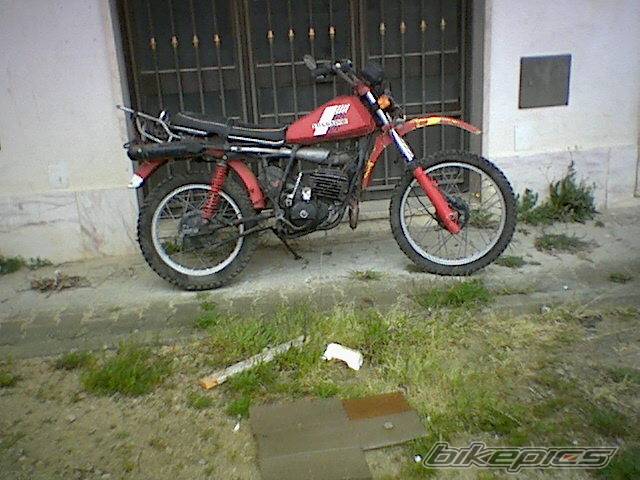 Bike Photo 259465