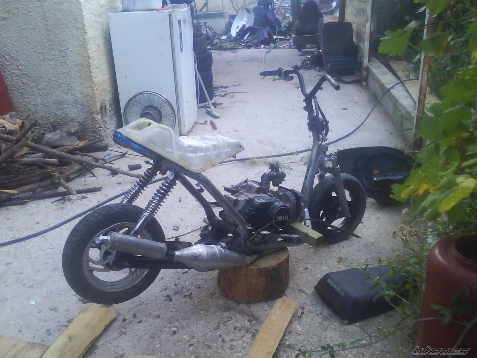 Photo 2595269