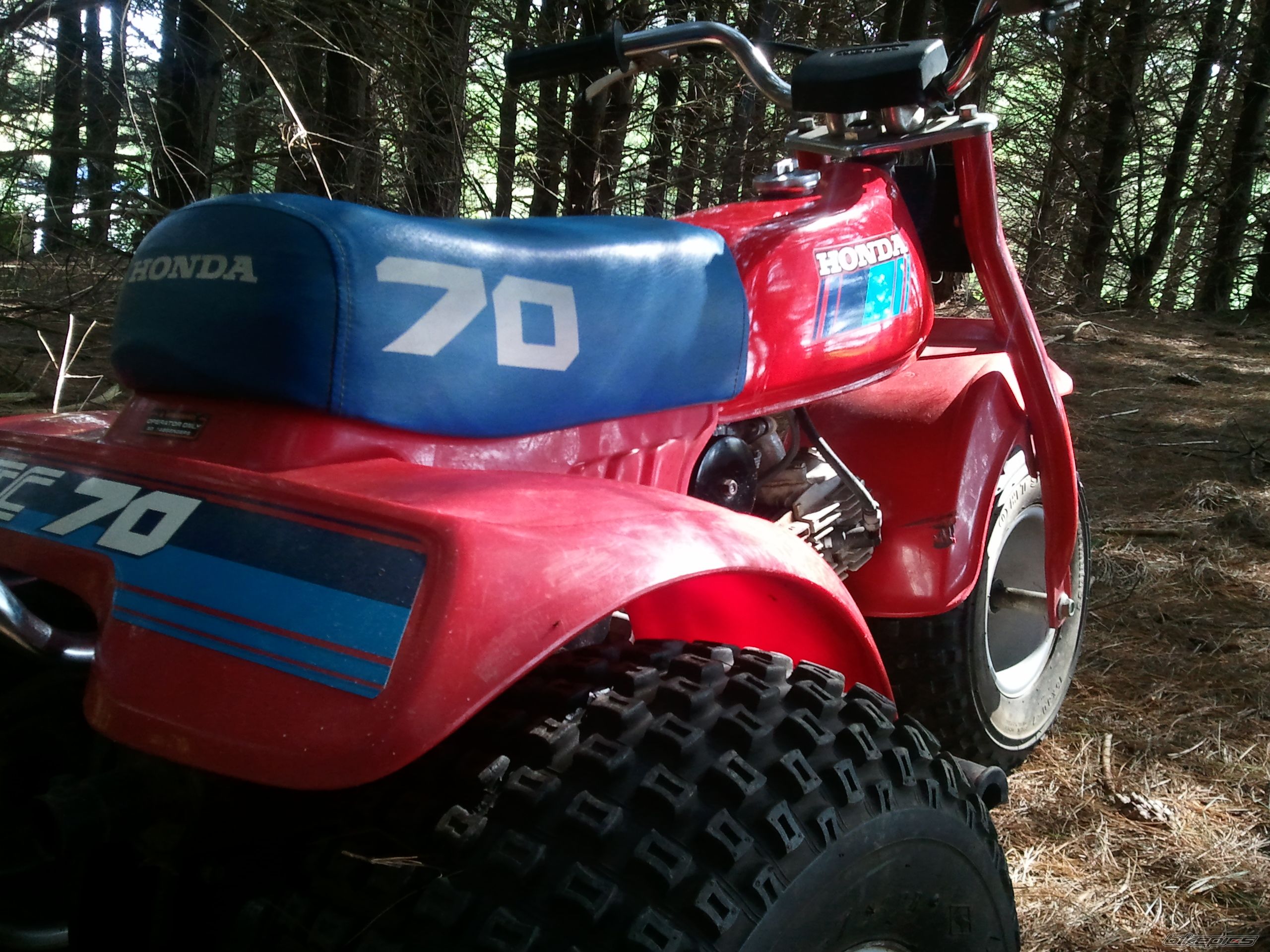 Photo 2597078