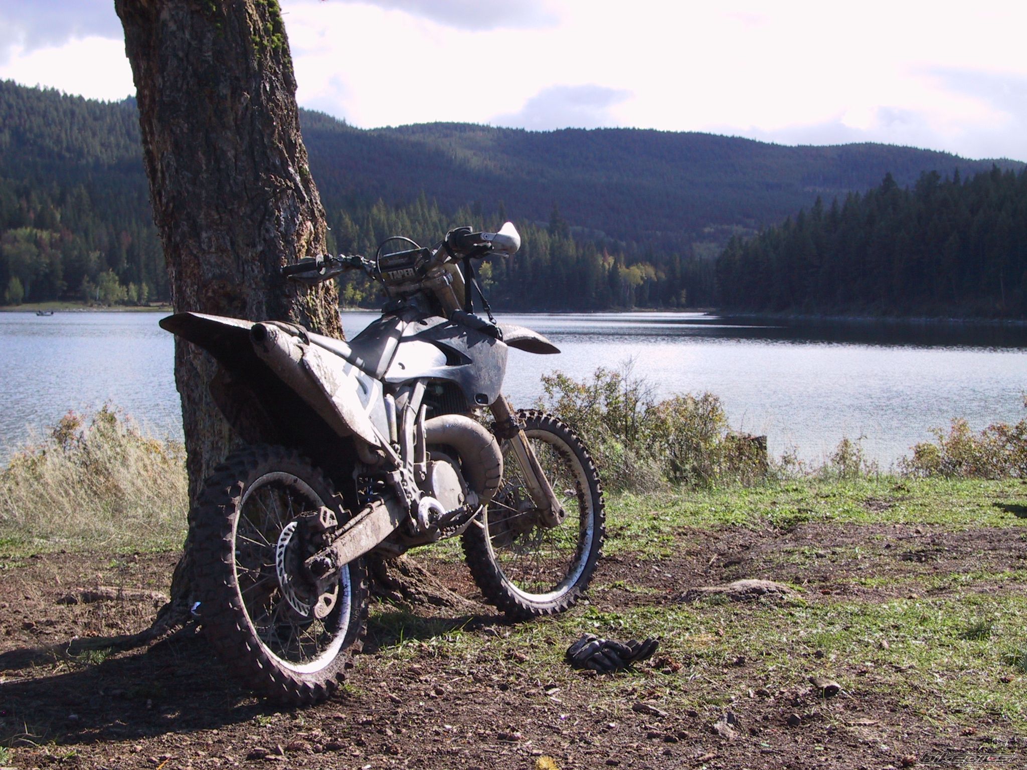 Photo 2597473