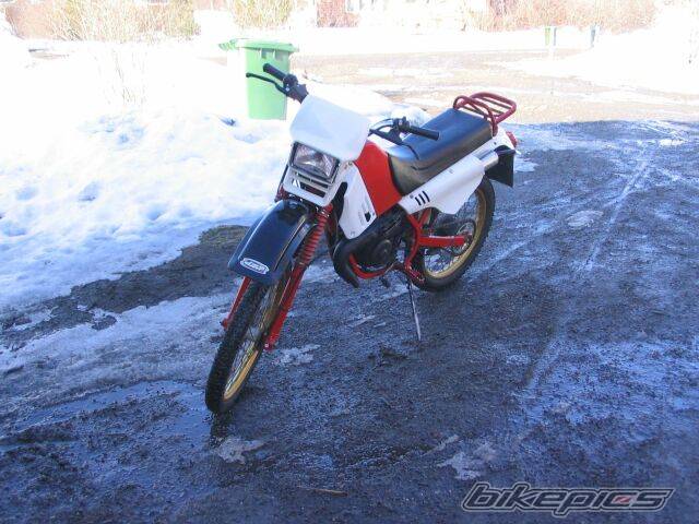 Photo 259964