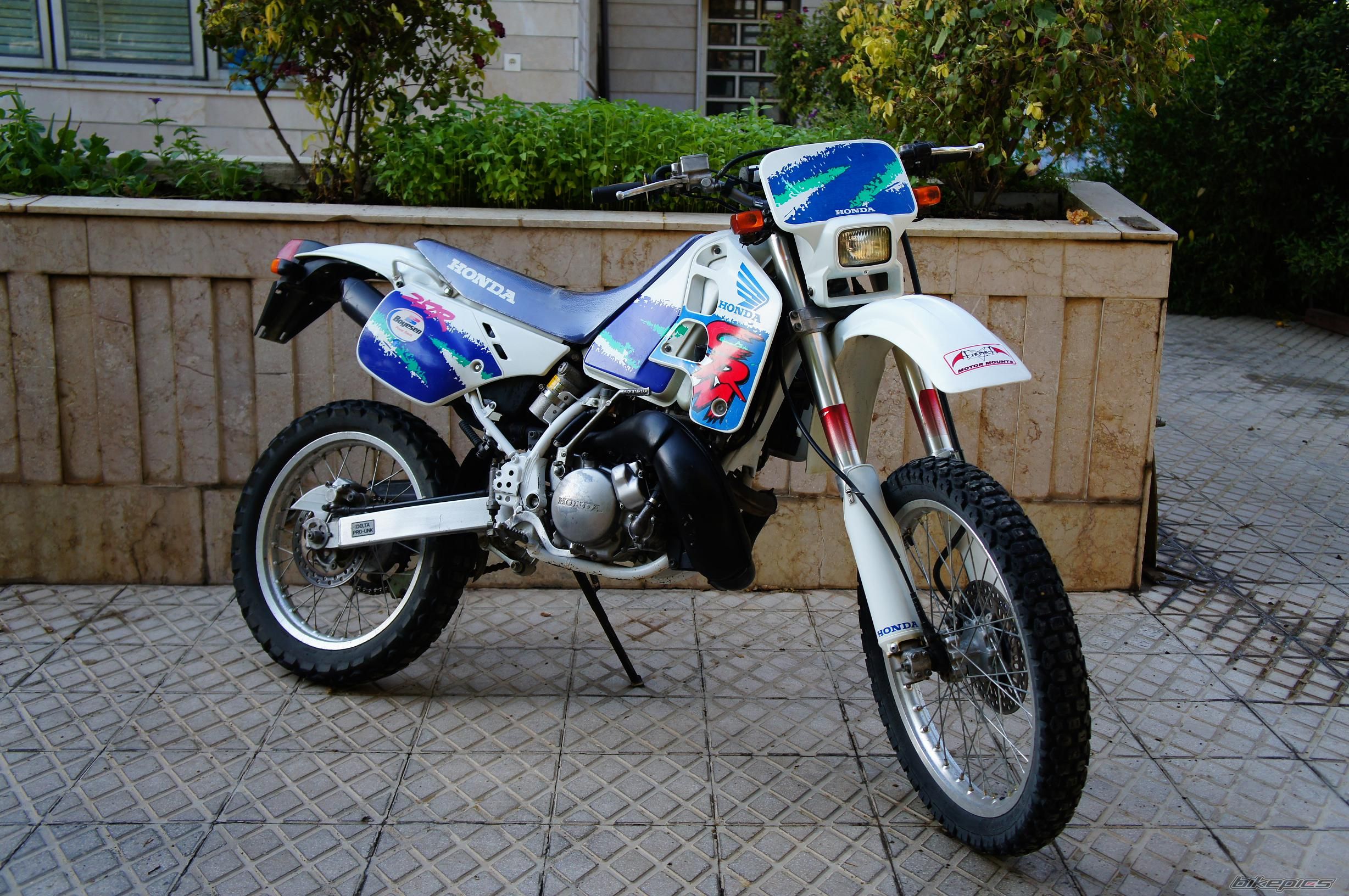 Photo 2599792