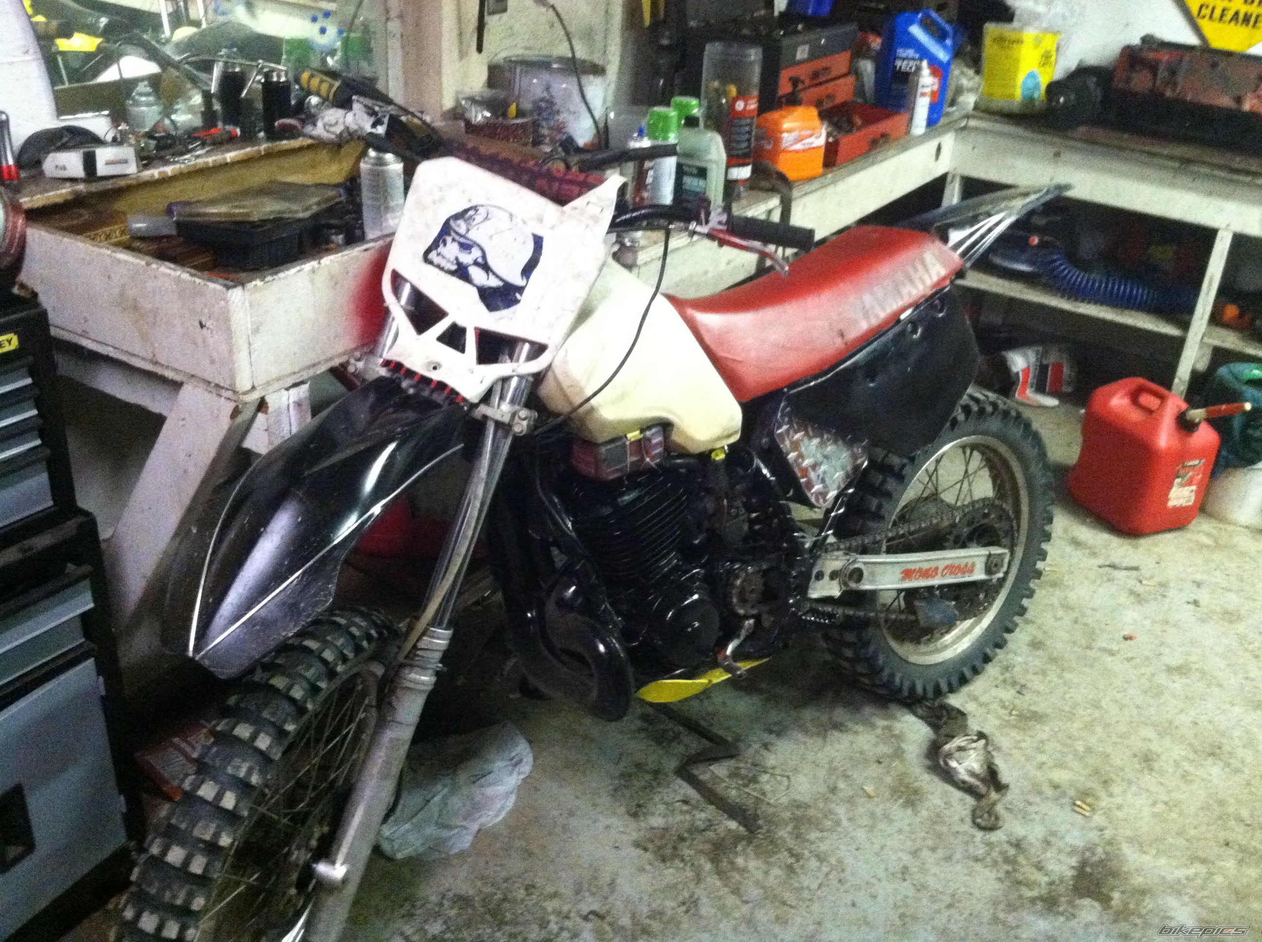 Photo 2600338