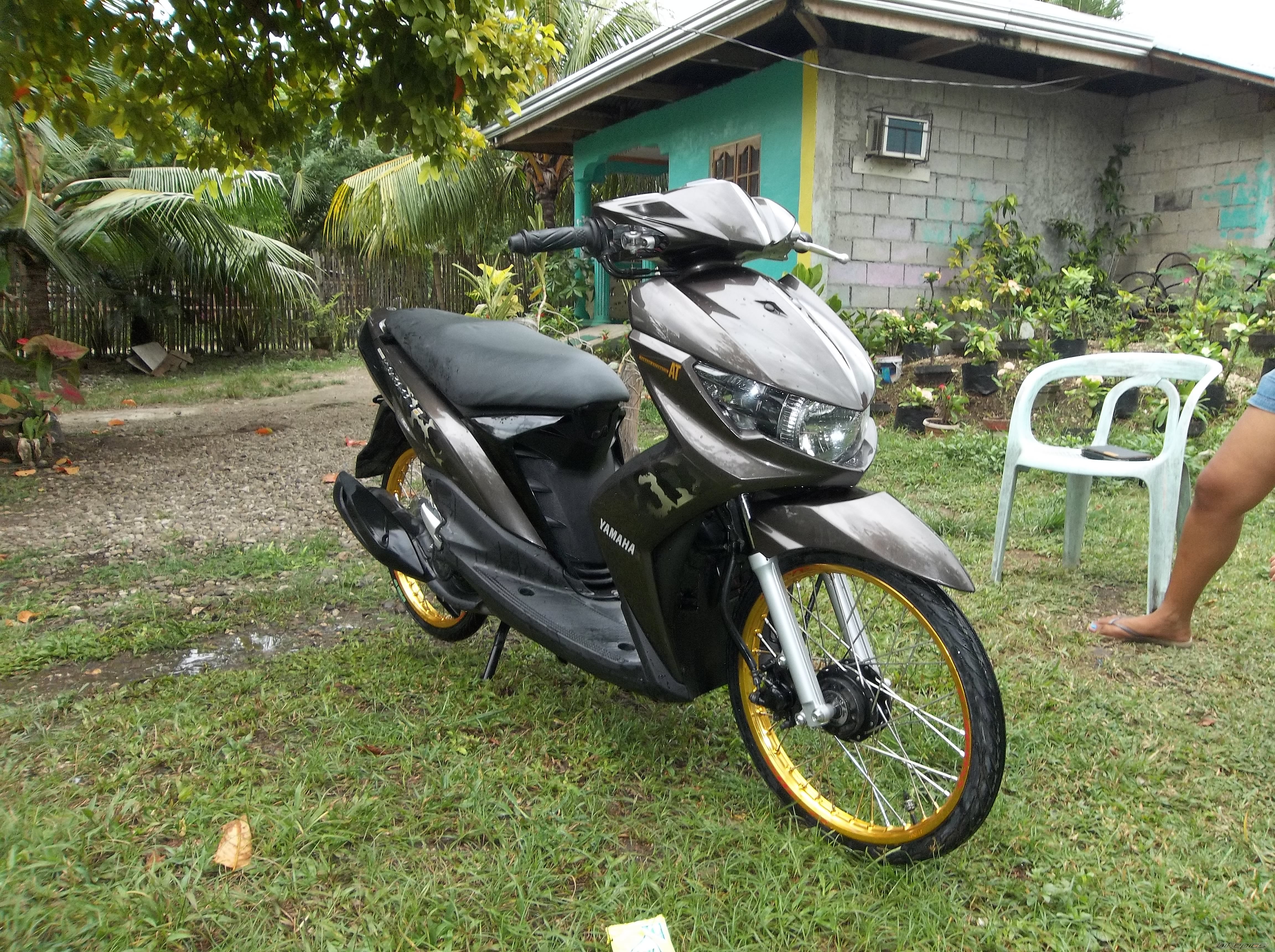 Photo 2601015