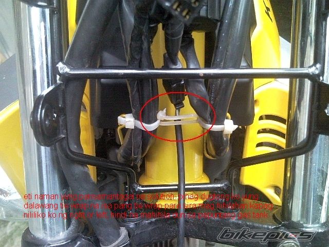 Photo 2601173