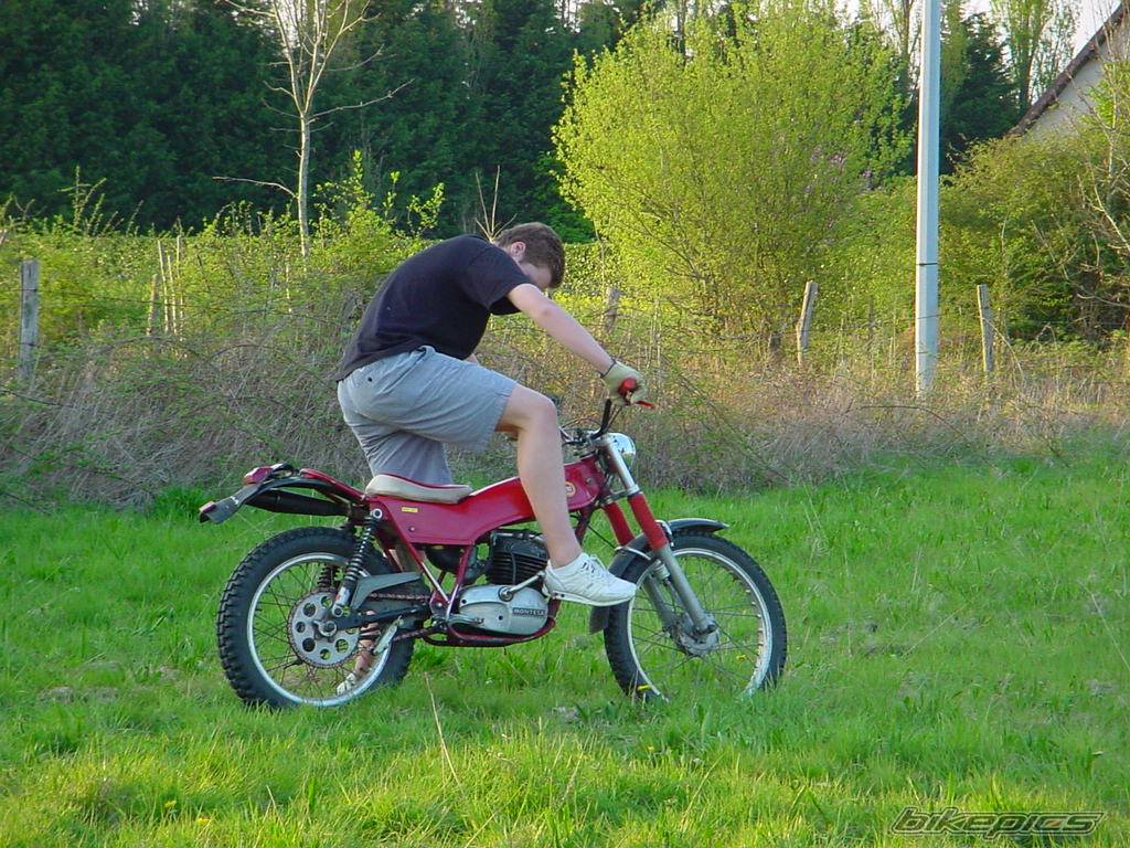 Photo 260178