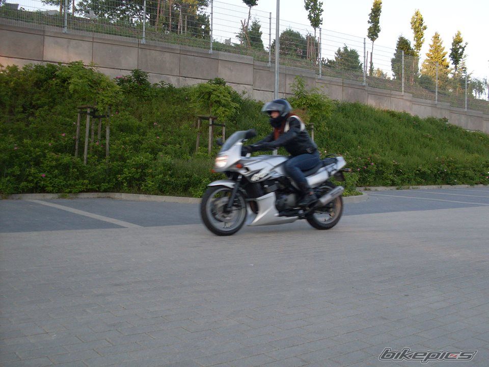 Photo 2602231