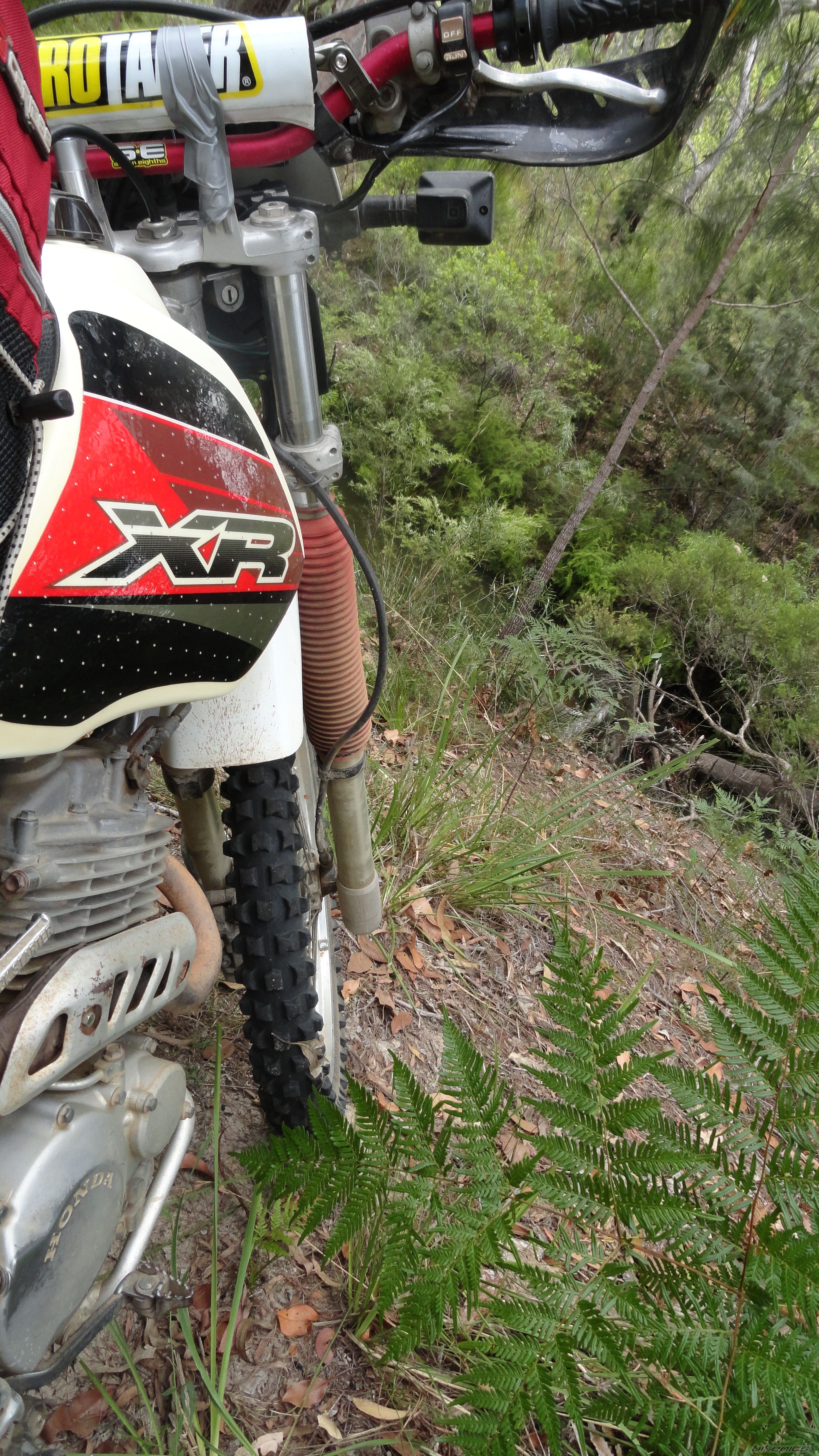 Photo 2602252