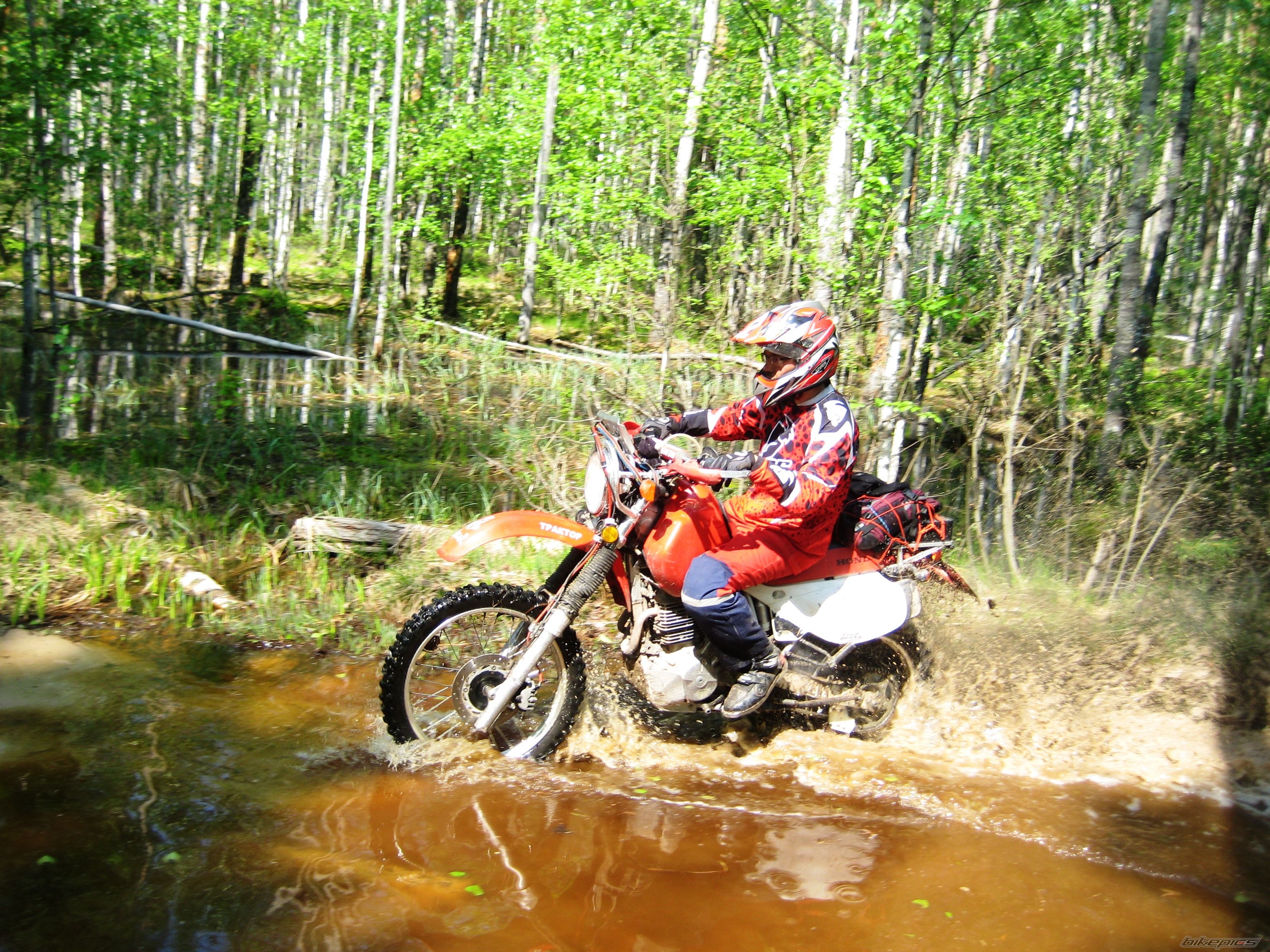 Photo 2603351