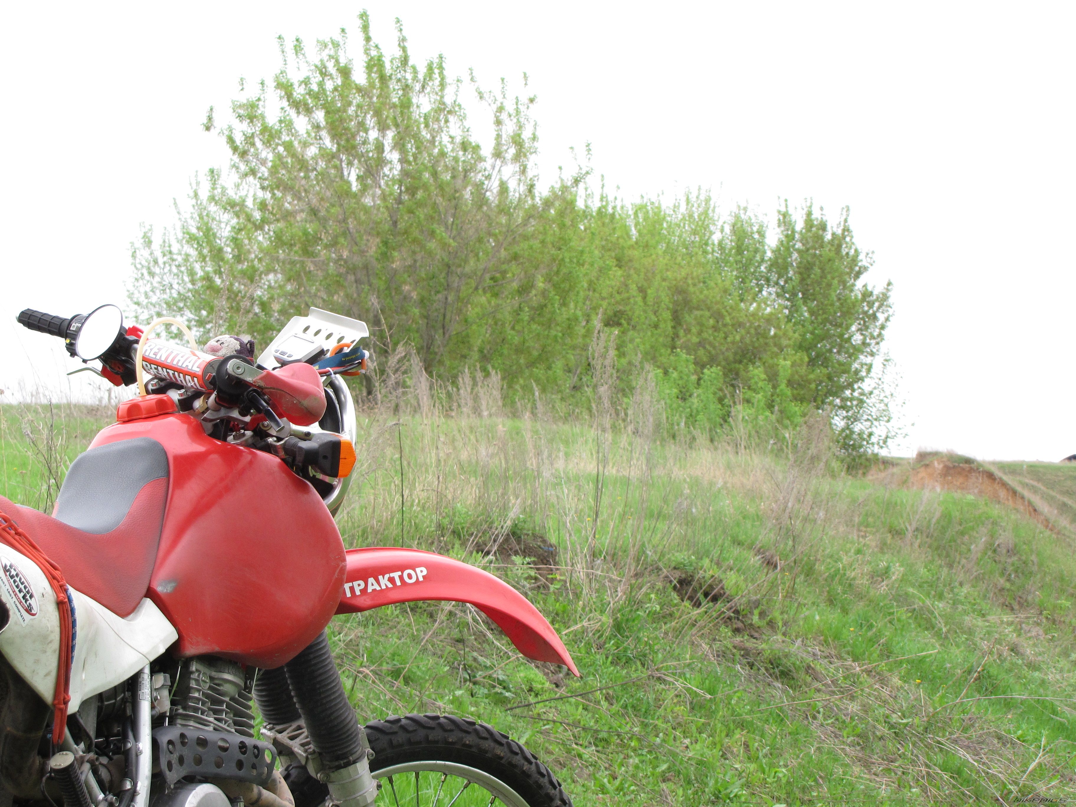 Photo 2603353