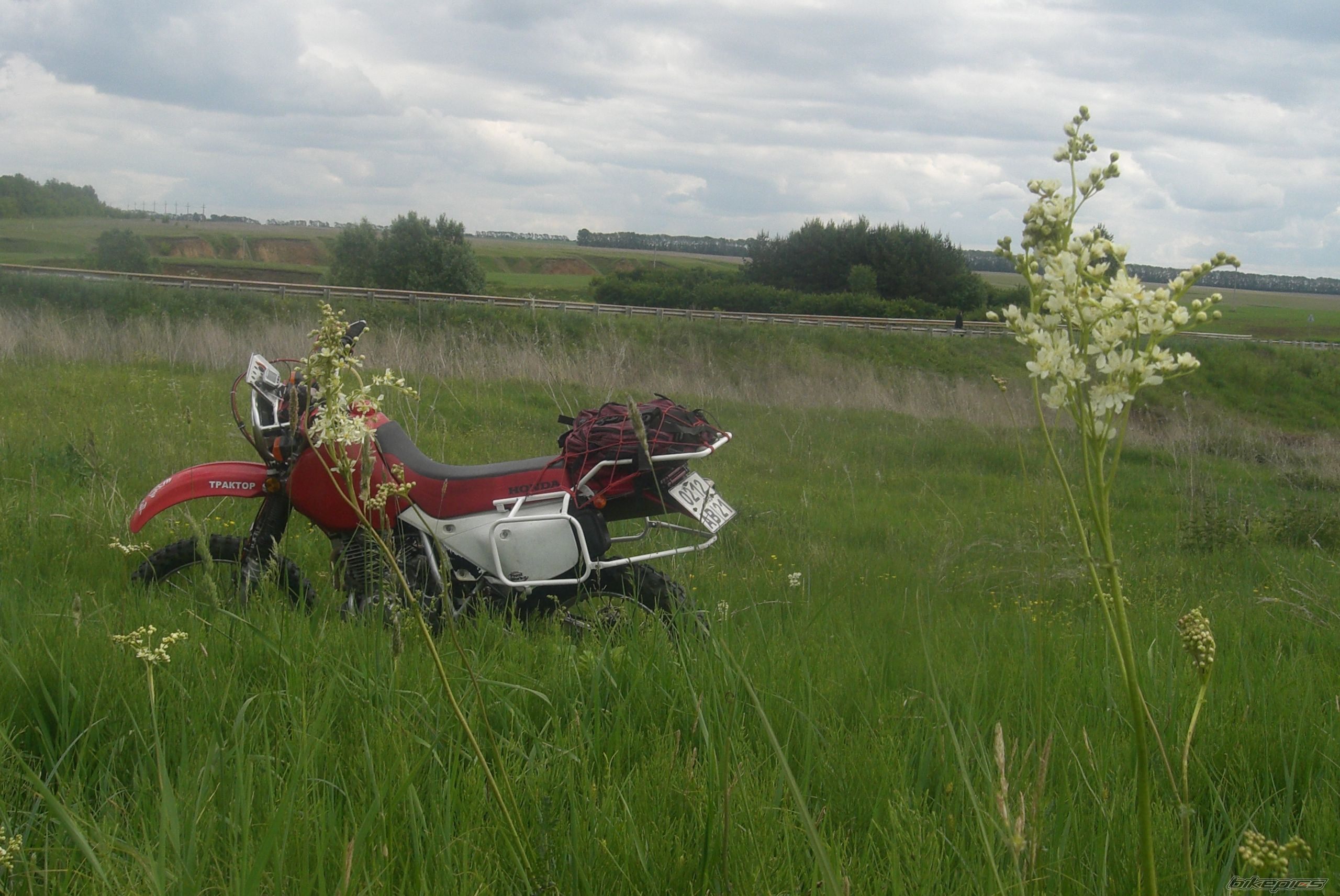 Photo 2603364