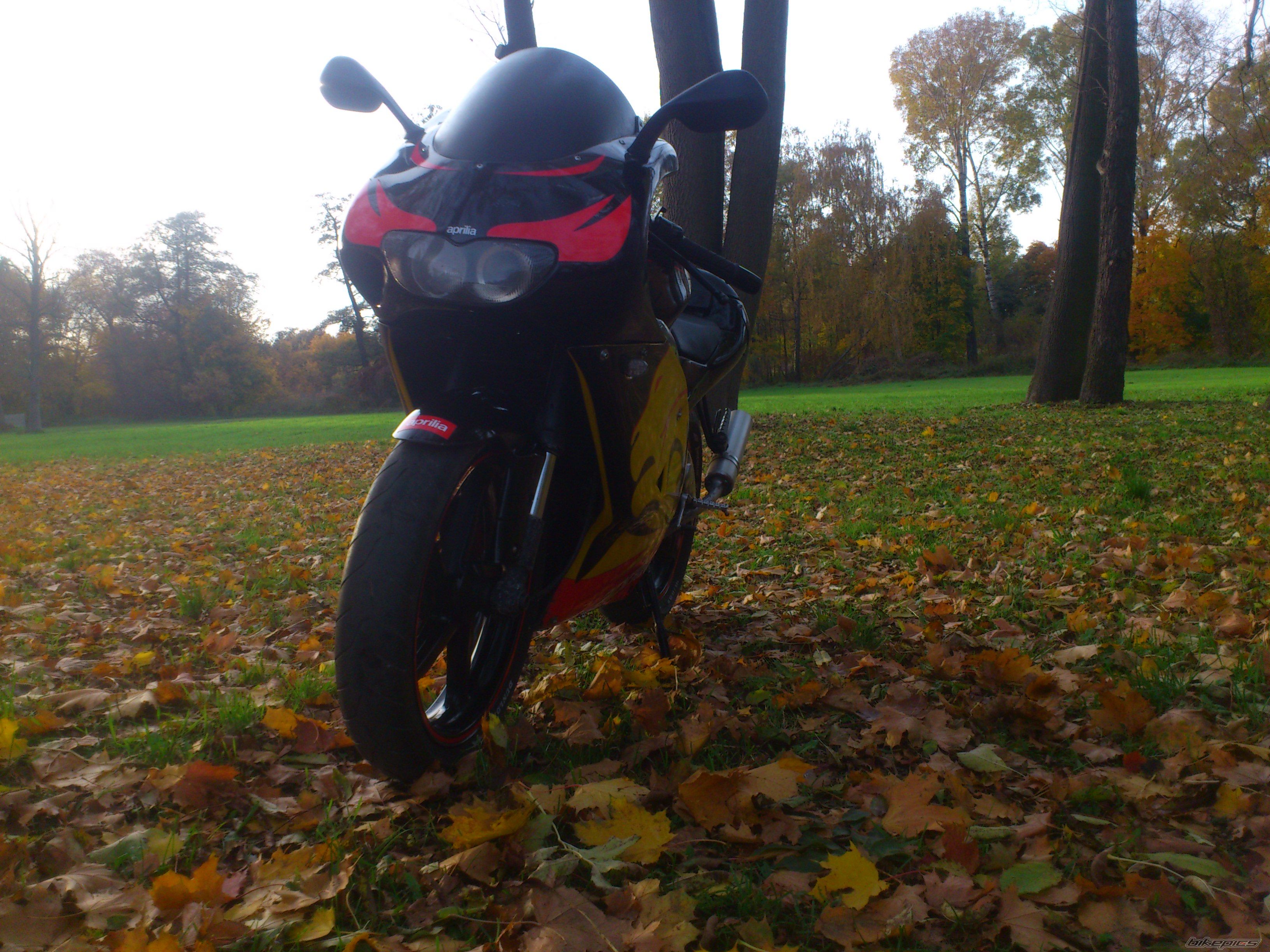Photo 2606784