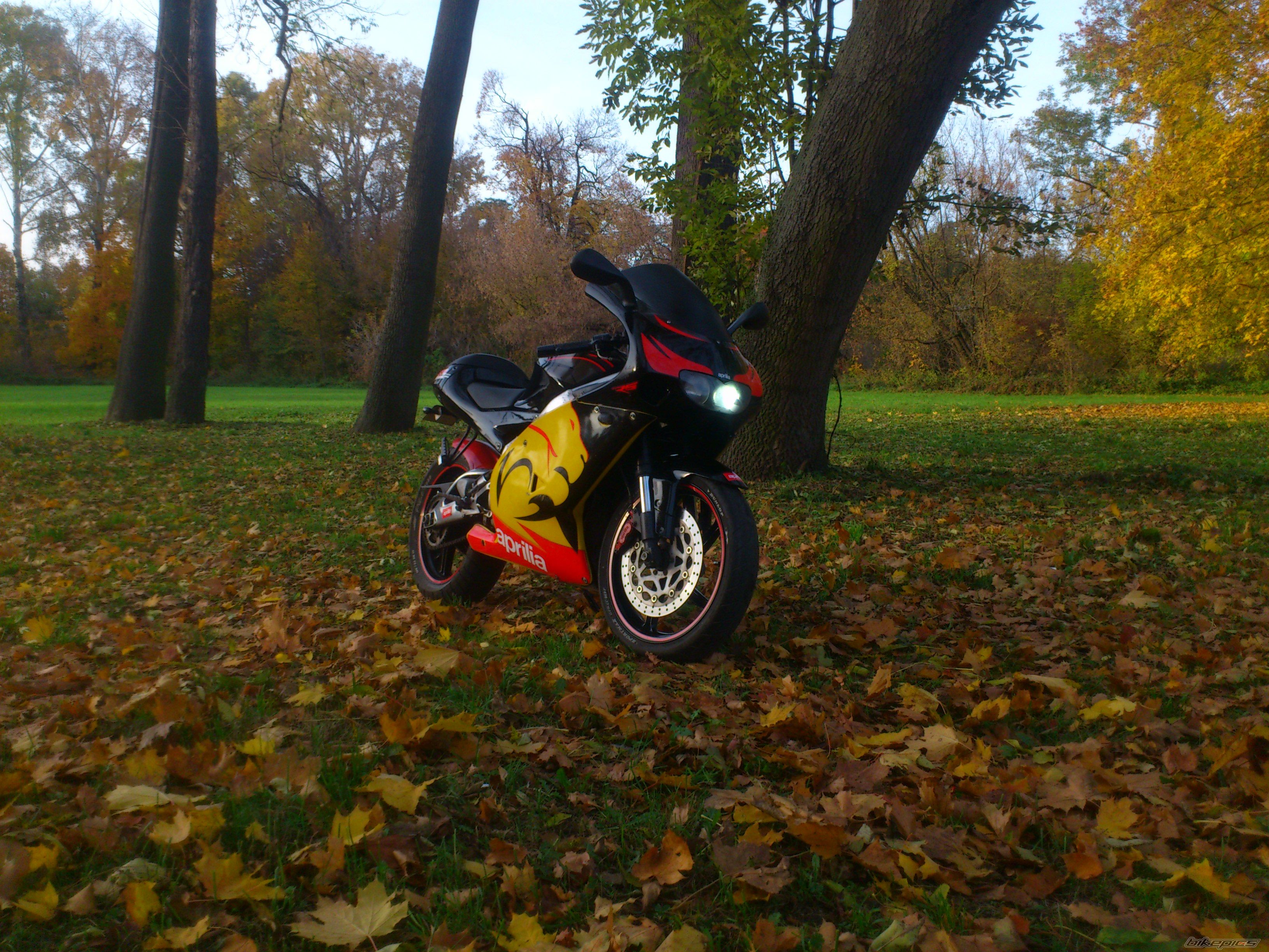 Photo 2606840