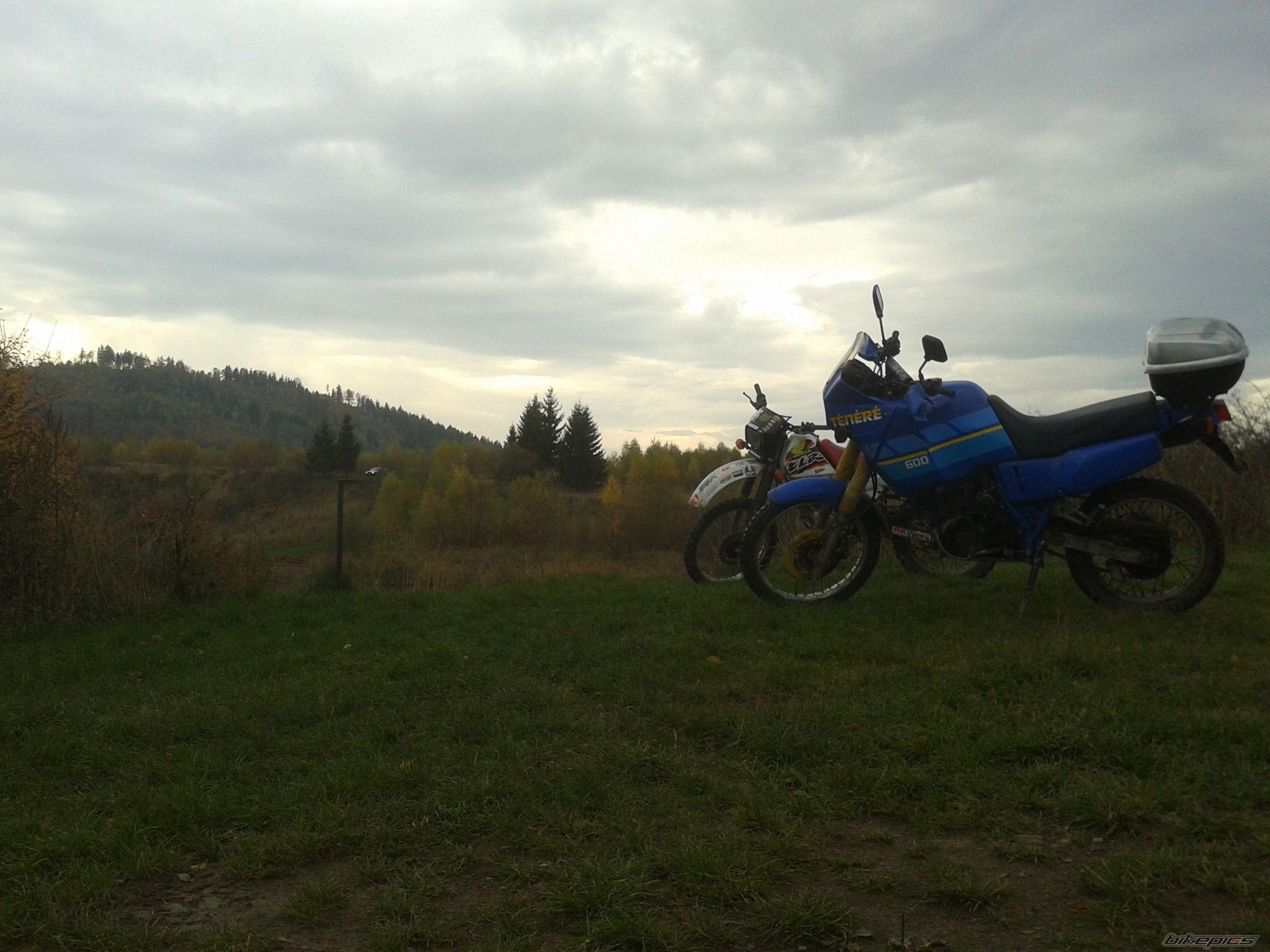 Photo 2608564