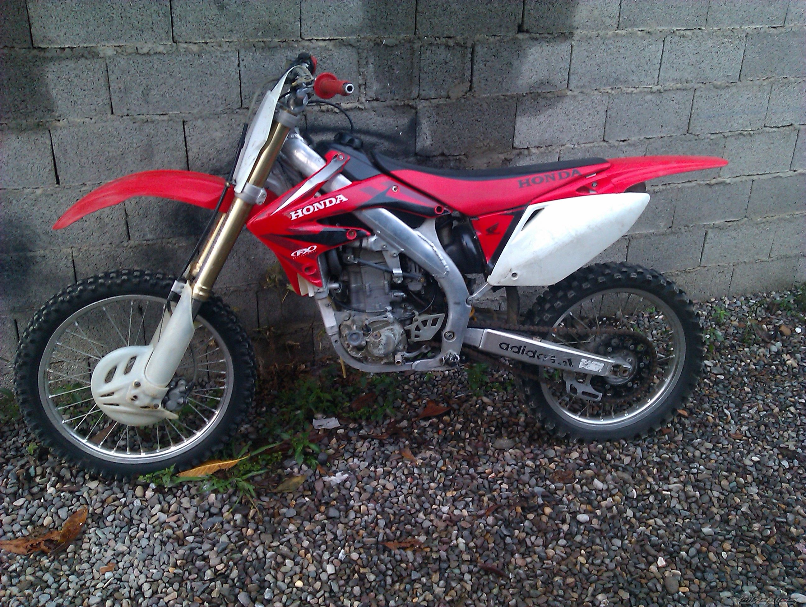 Photo 2608742