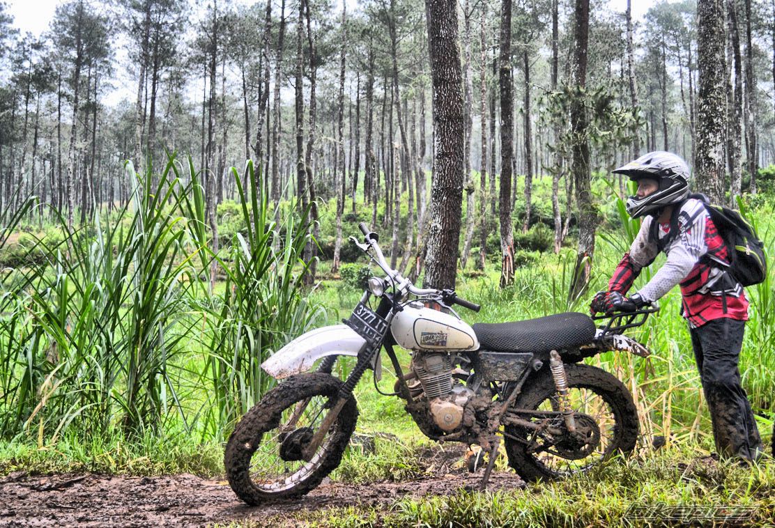 Bike Photo 2608762