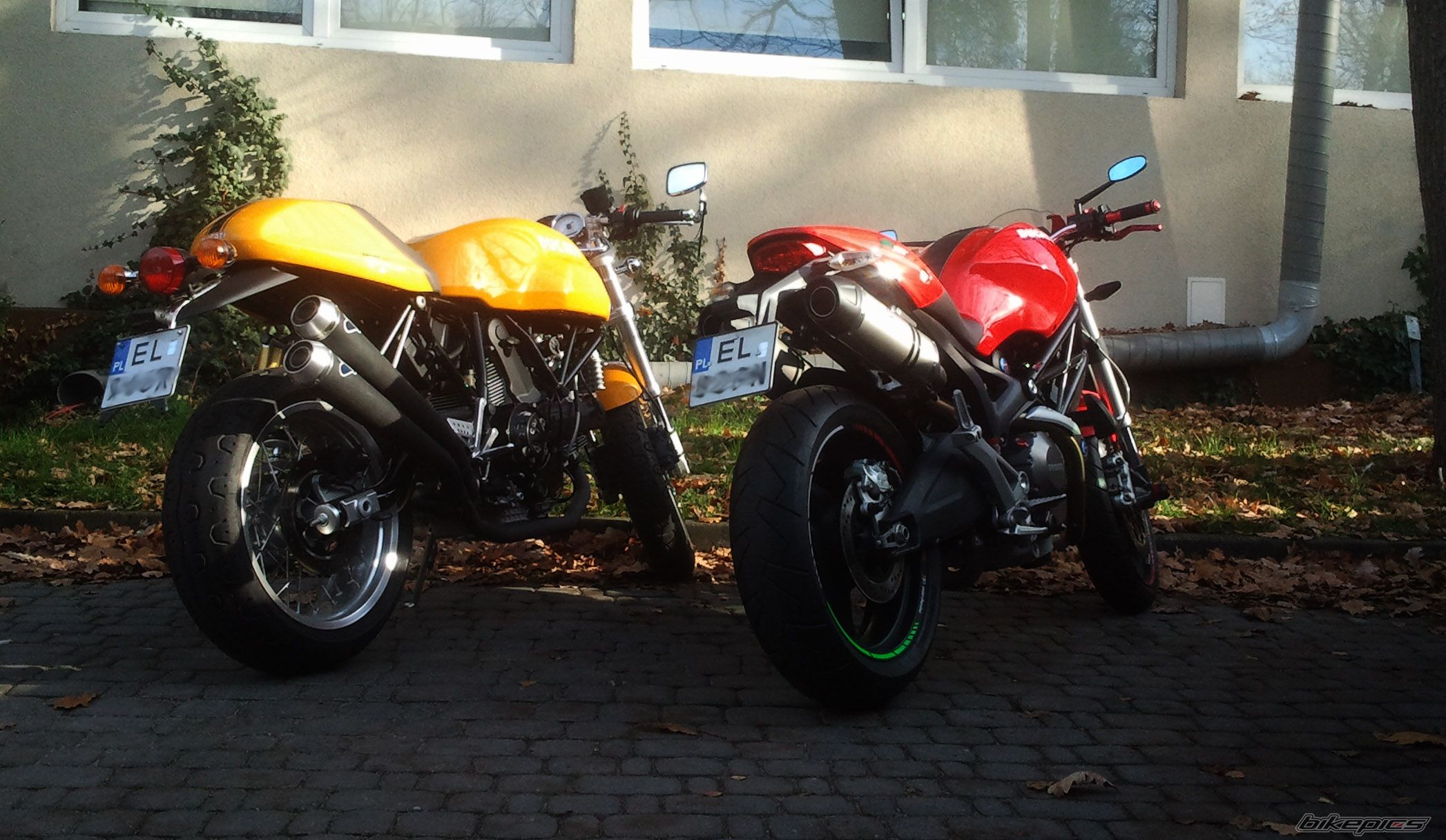 Photo 2609930