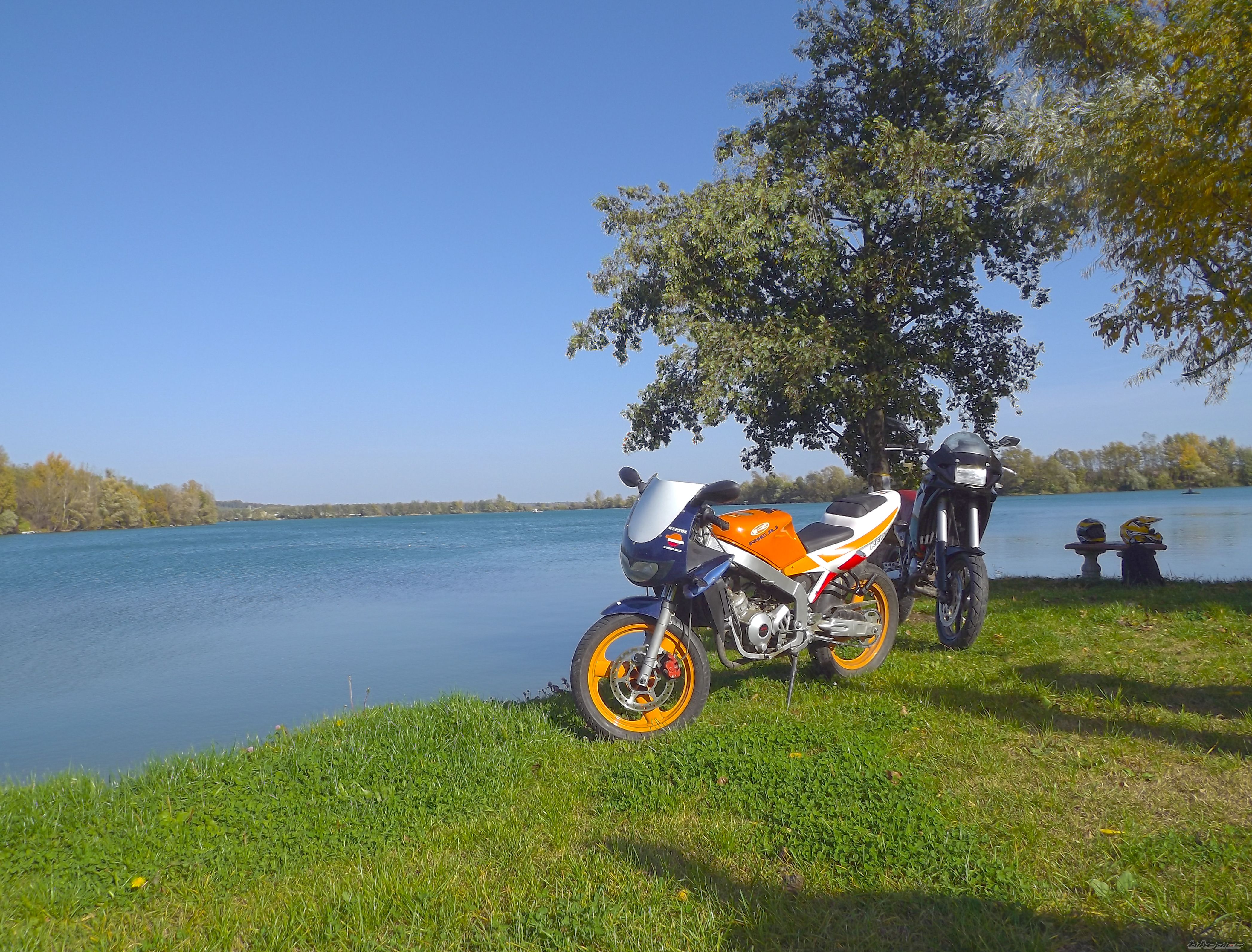 RS1