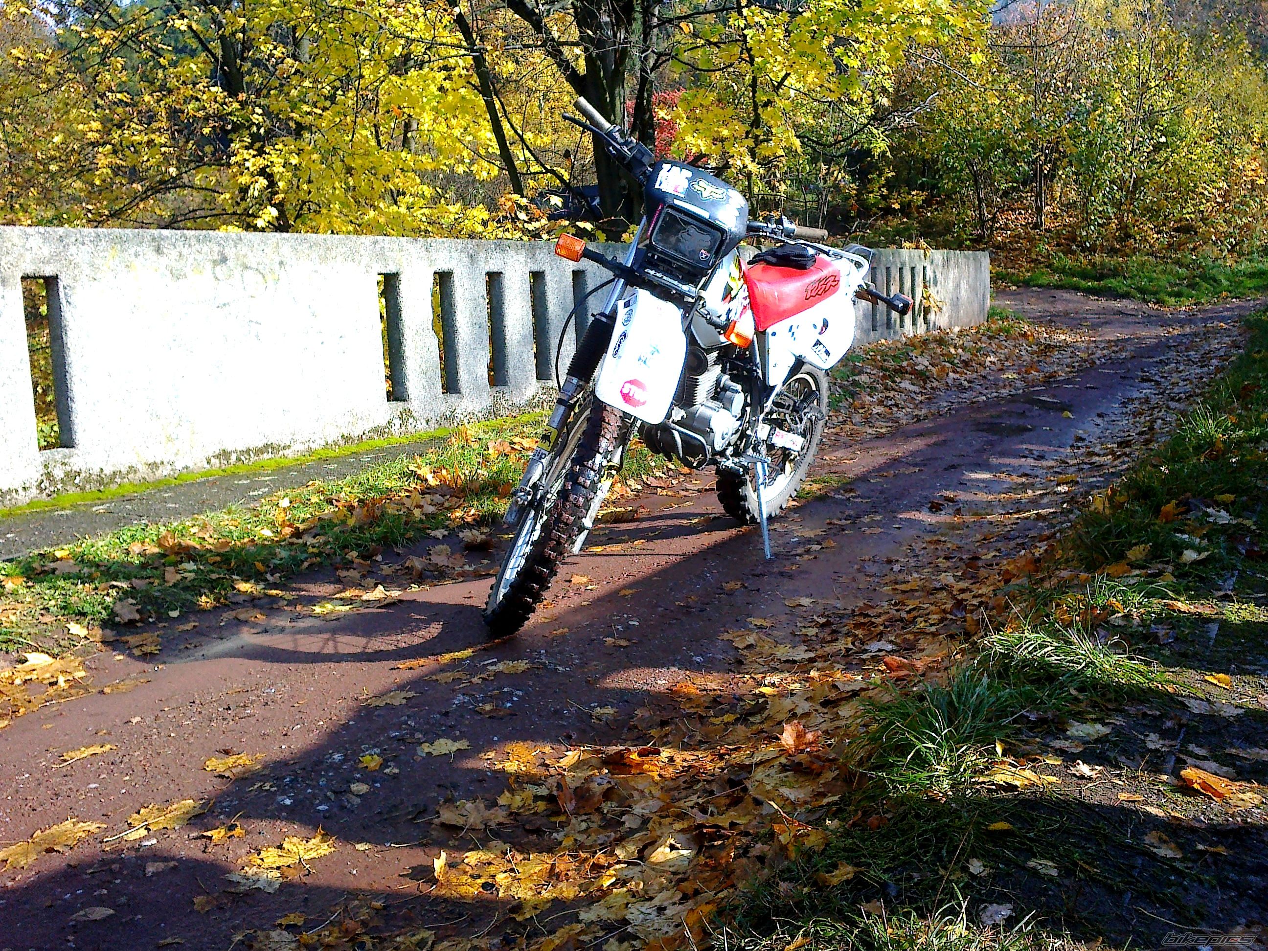 Photo 2613208