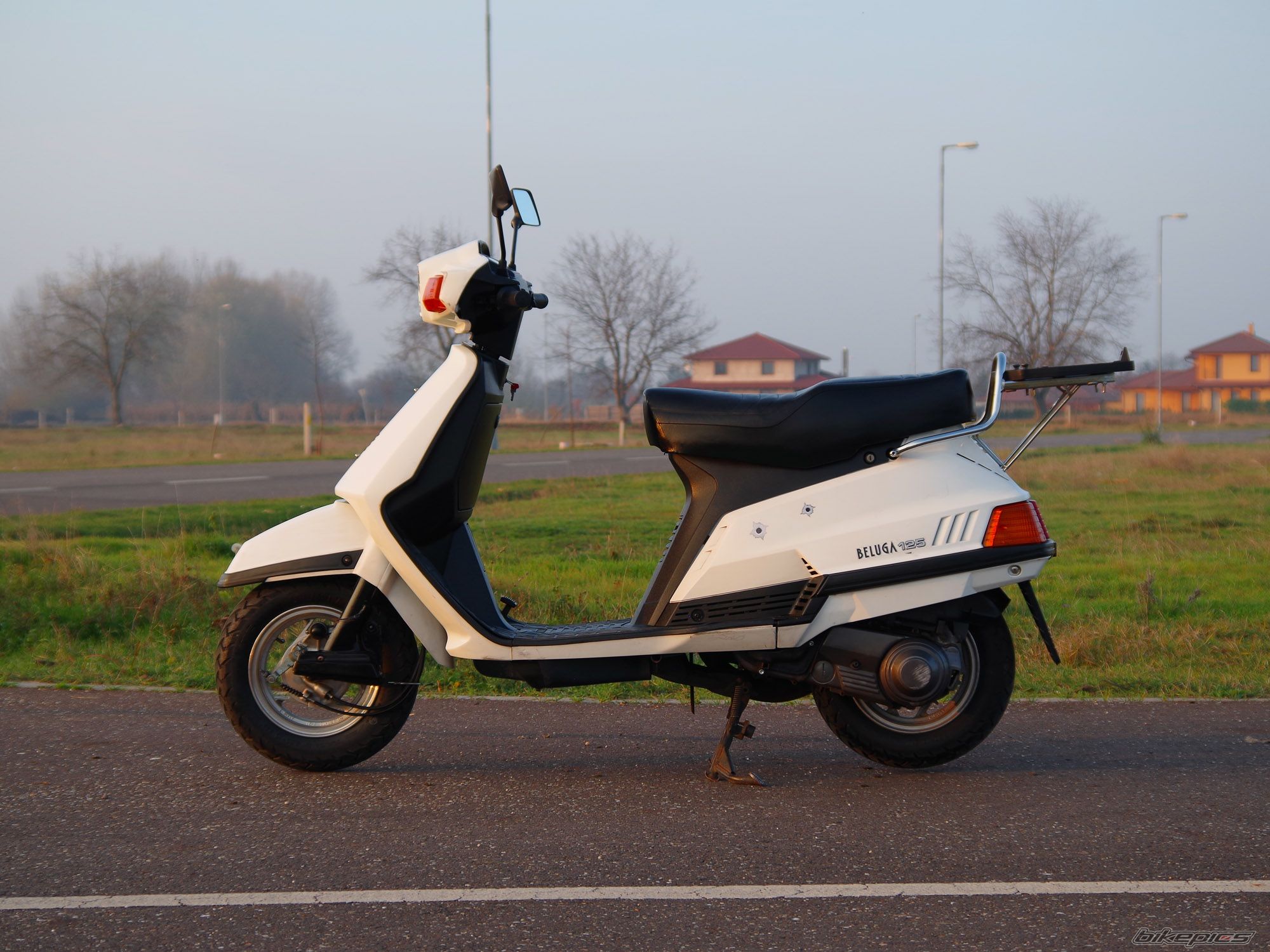 Beluga 125