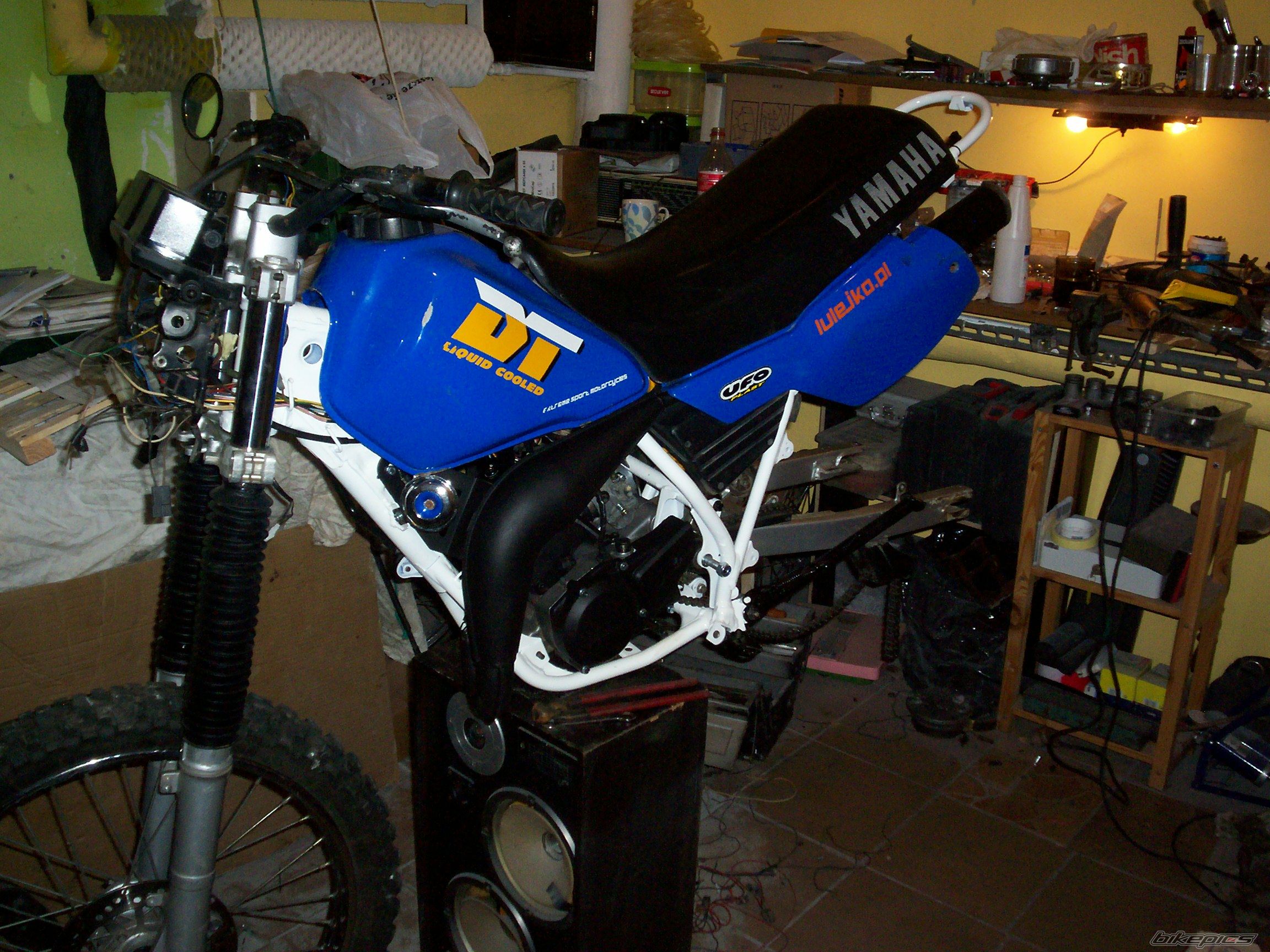 Photo 2616937