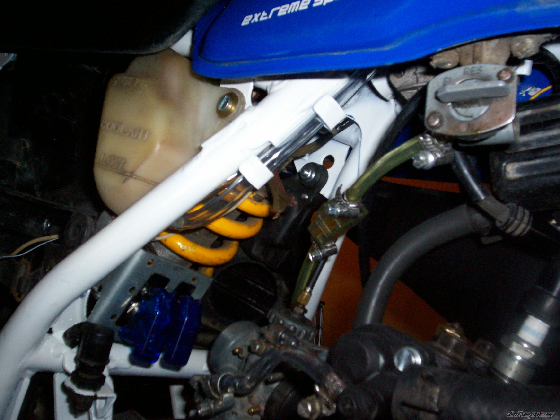 Photo 2616943