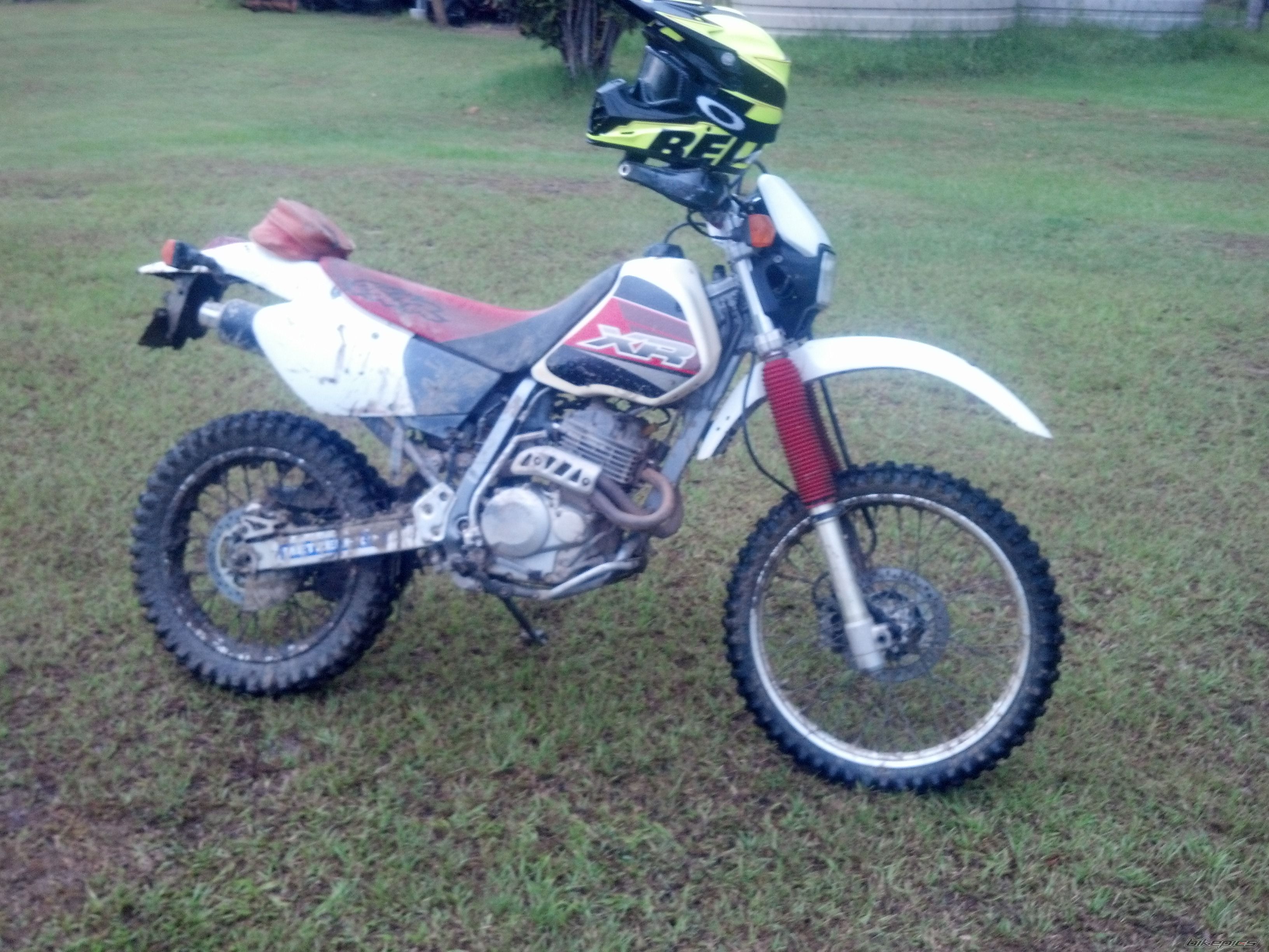 Photo 2618336