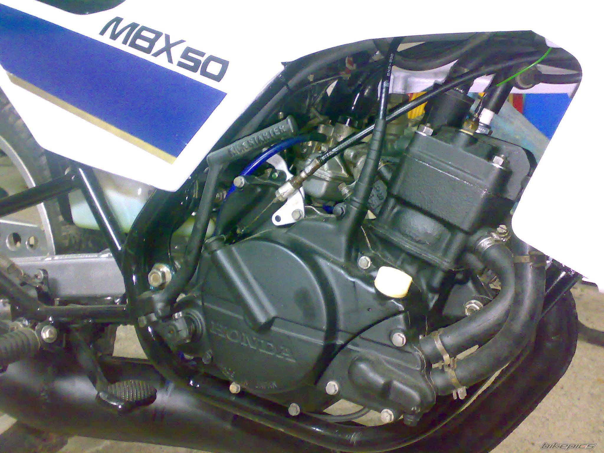 Photo 2618579