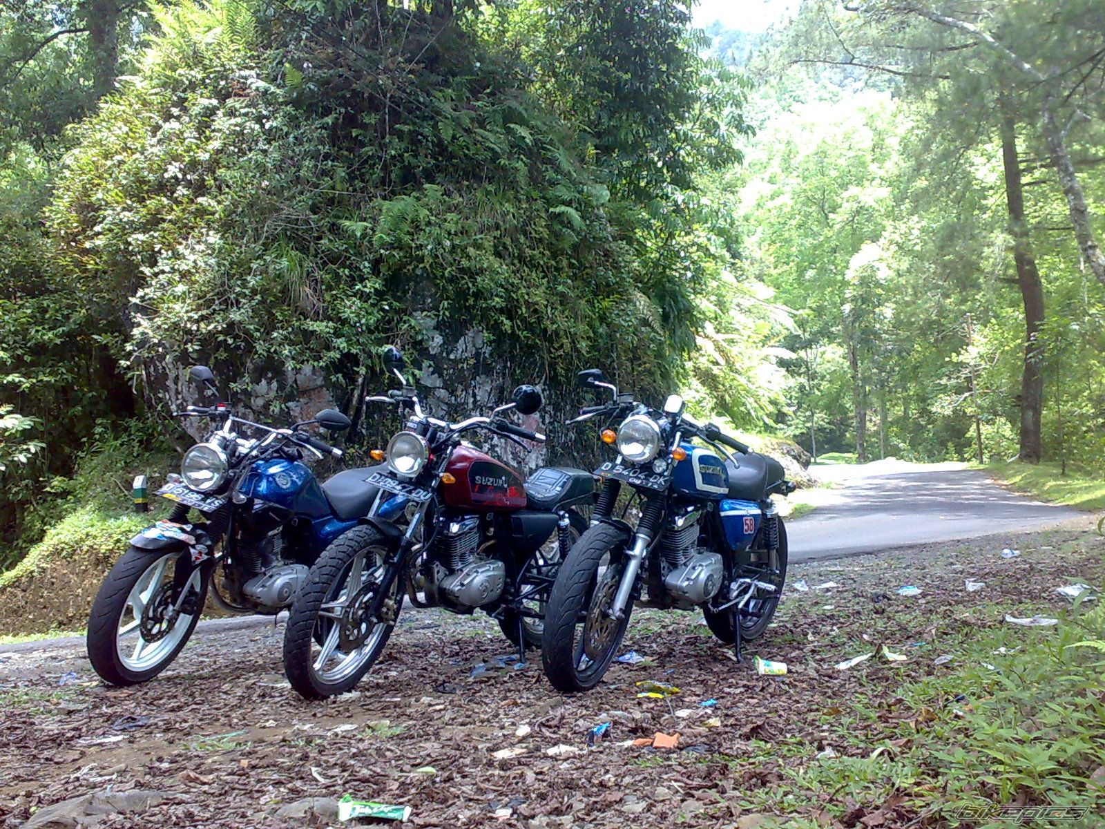 Photo 2619721
