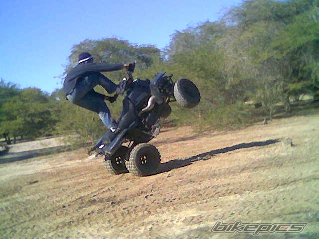 Photo 262177