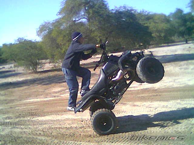Photo 262178