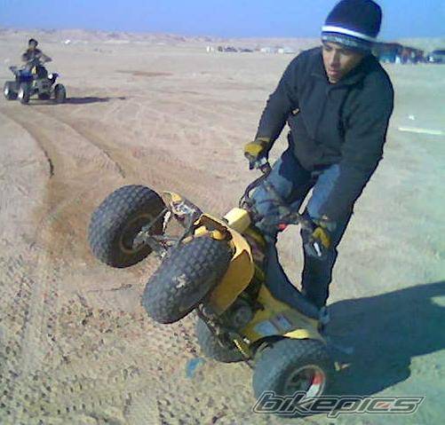 Photo 262182