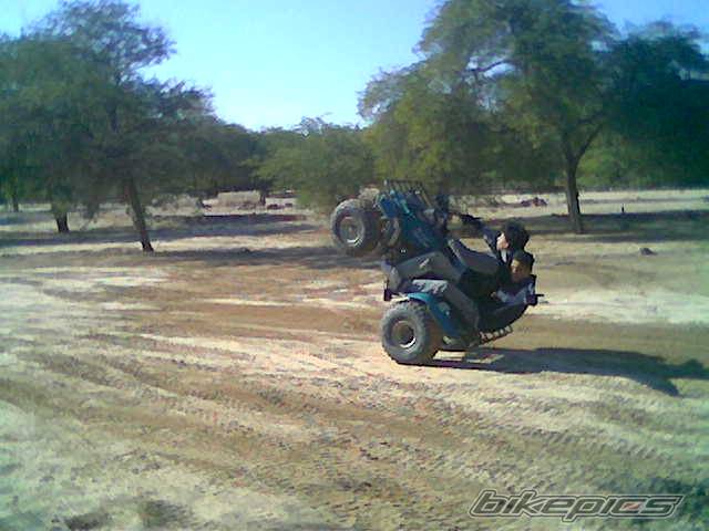 Photo 262183