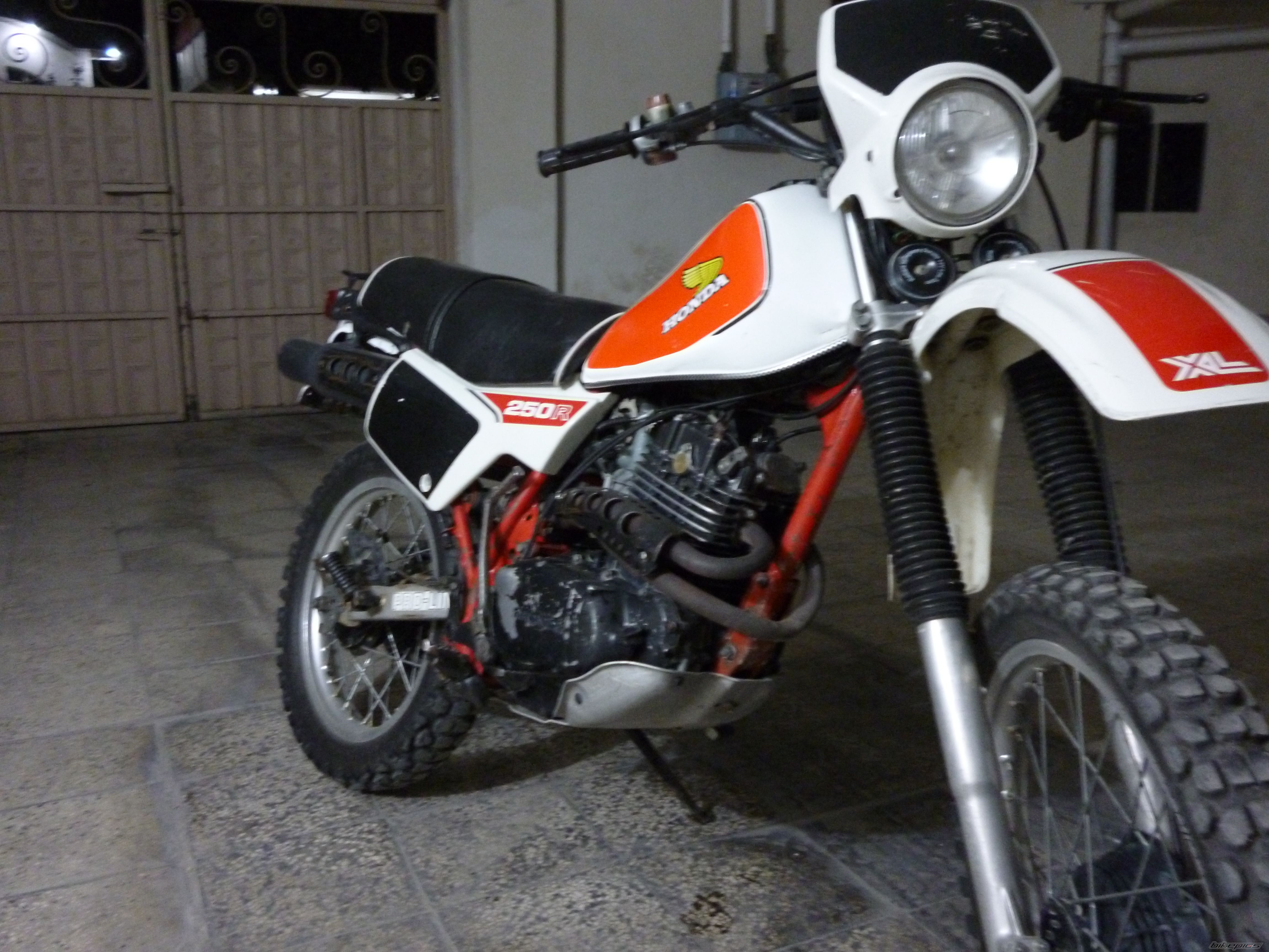 Photo 2622420