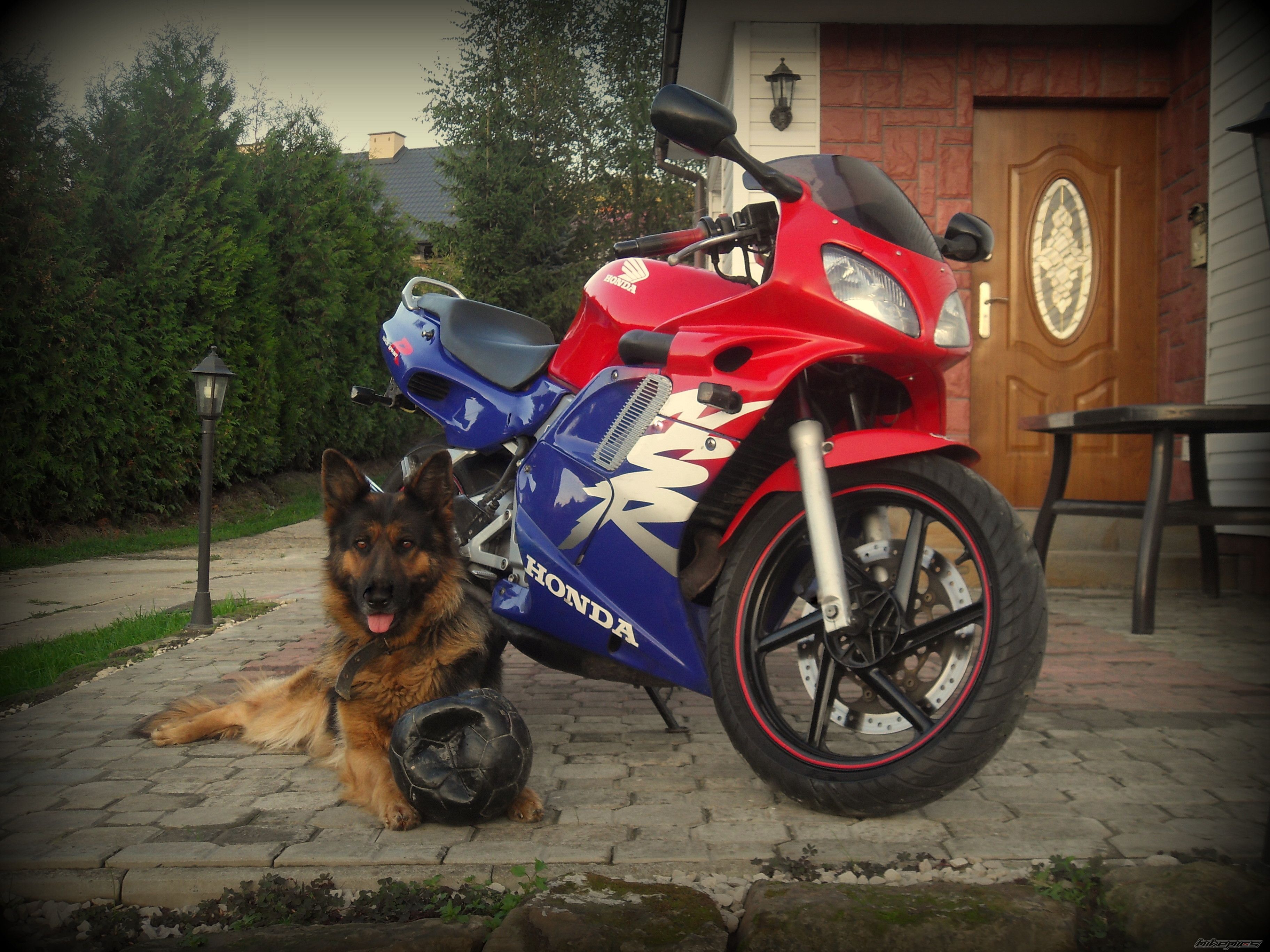 Bike Photo 2622791